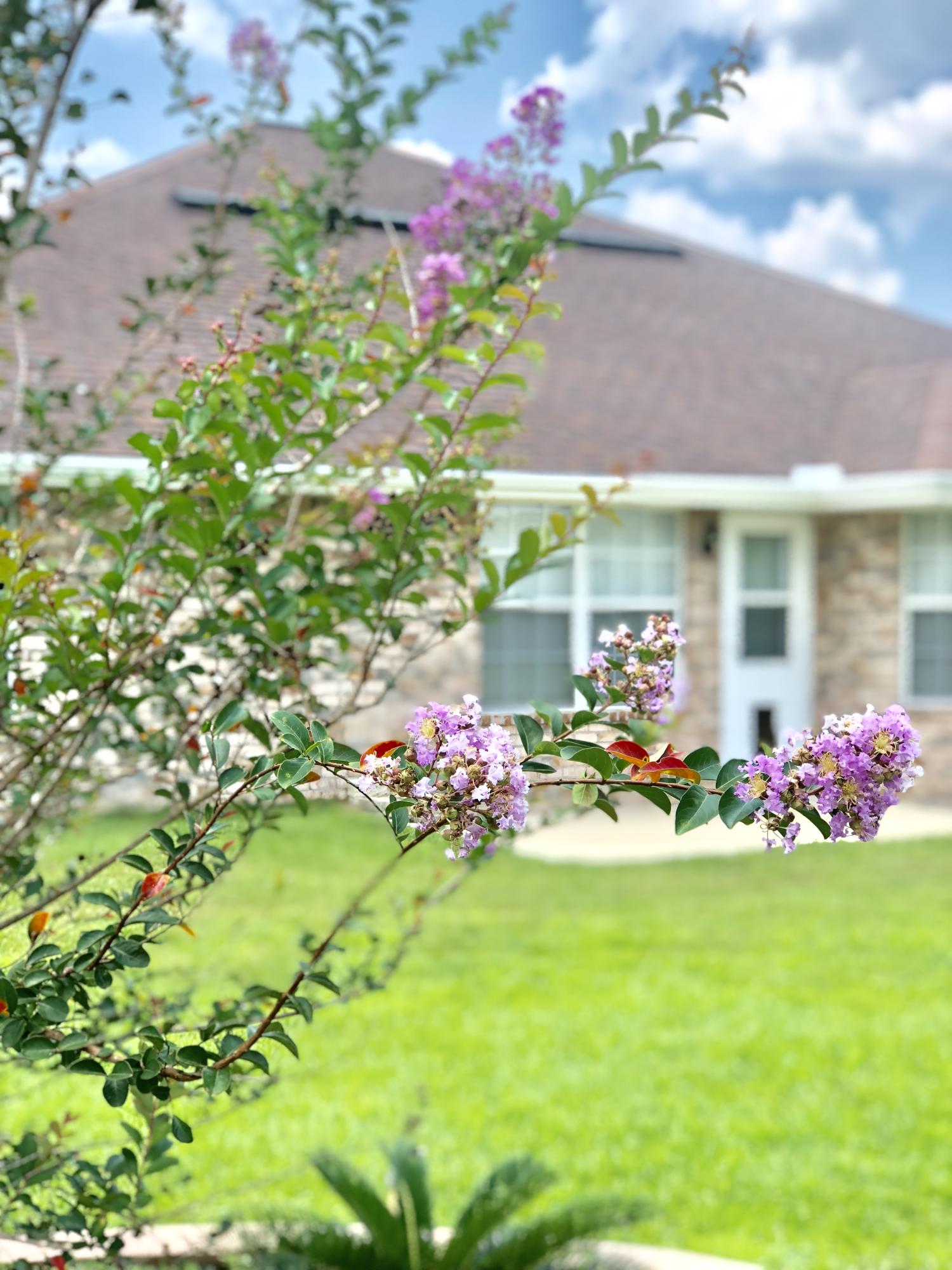 SILVER CREEK ESTATES - Residential