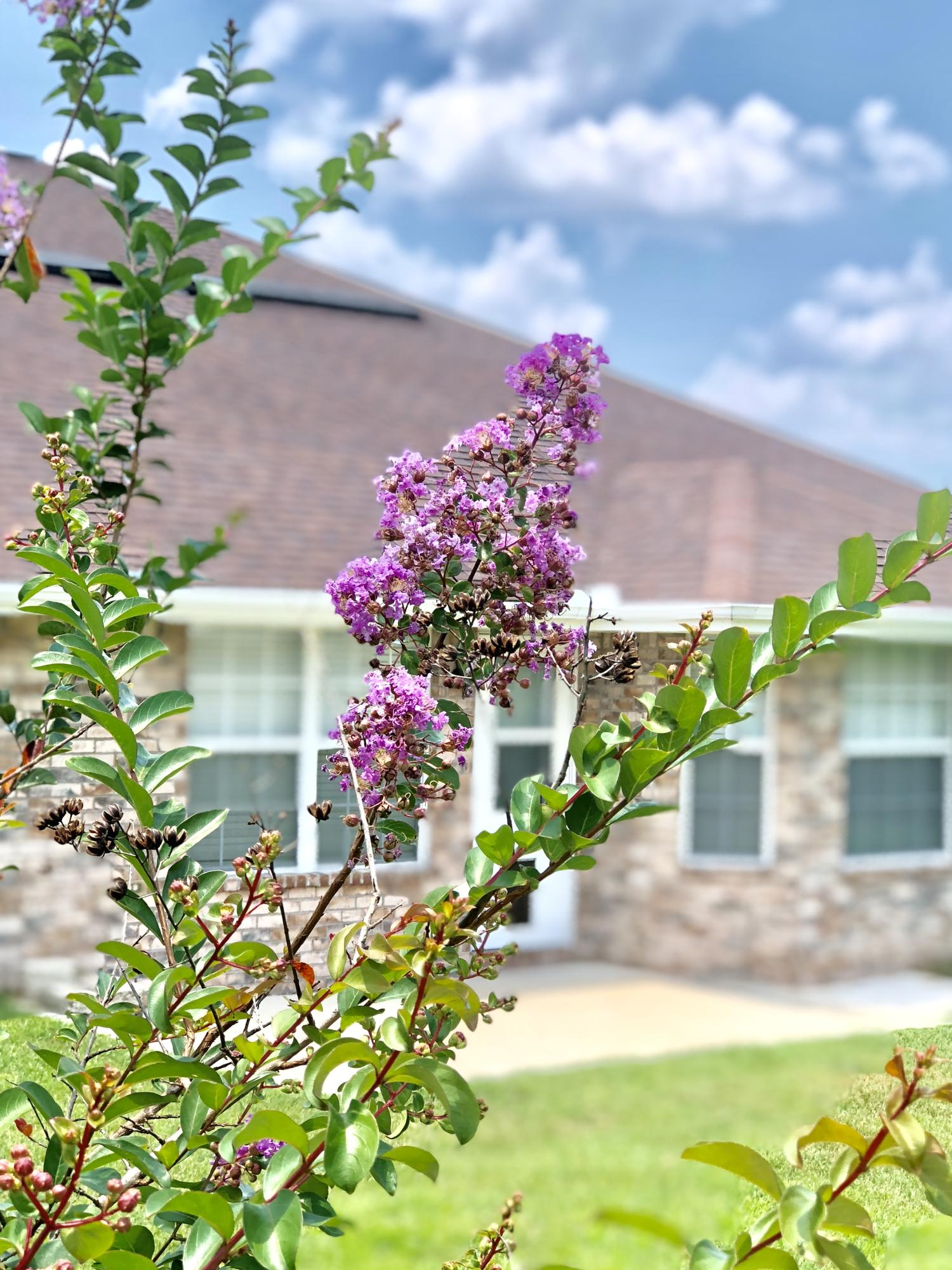 SILVER CREEK ESTATES - Residential