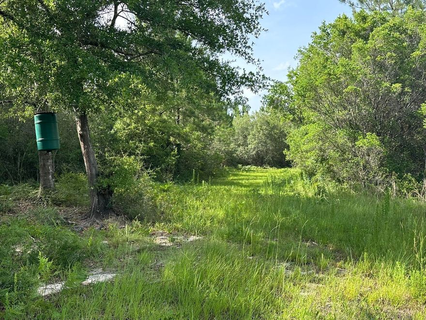 A unique opportunity awaits with this versatile land in the Baker area of Okaloosa County. Featuring a mix of open ground and wooded sections, the property offers an appealing blend of usable space and natural surroundings. The terrain is a combination of level and gently rolling areas, accessible from a county-maintained road. Public utilities are available nearby, creating options for a variety of permitted uses. Hunting, Recreation Home Site! Live Oak Trees and a Beautiful stream, Power lines for food plots!
