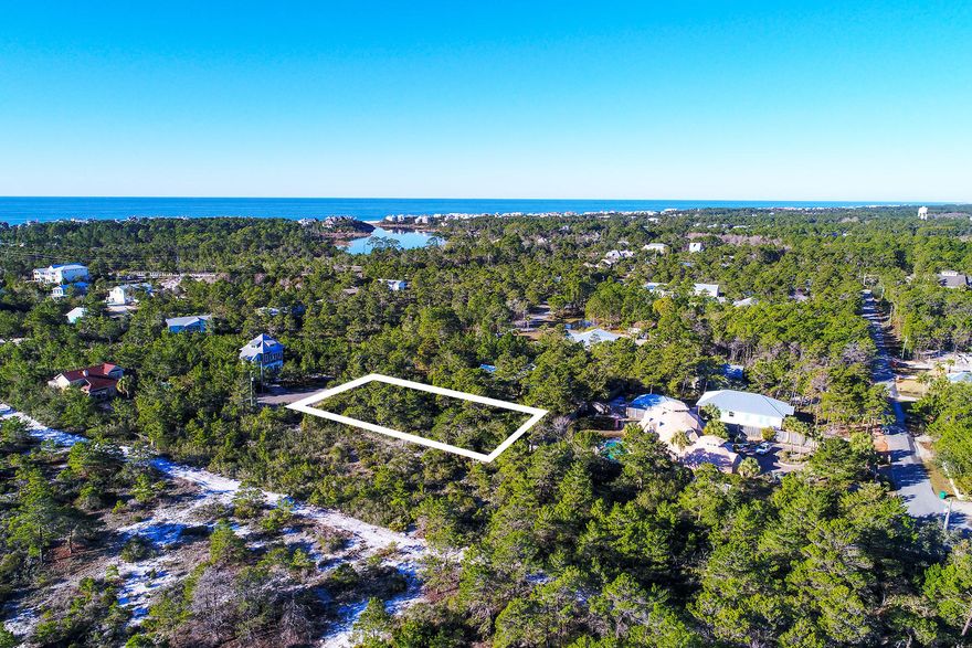 This generously sized homesite, just over half an acre, is located on a cul-de-sac in the quaint coastal community of Pines of Blue Mountain. The Pines of Blue Mountain is a 35+ acre community located in the heart of Blue Mountain Beach along Scenic Highway 30A. The community features large homesites which allows for capability of building a home, guest house, and pool while still maintaining privacy. The homesites have no build out time. Experience the 30A lifestyle with convenient access to Gulf Place, Redfish Village, as well as public beach access.