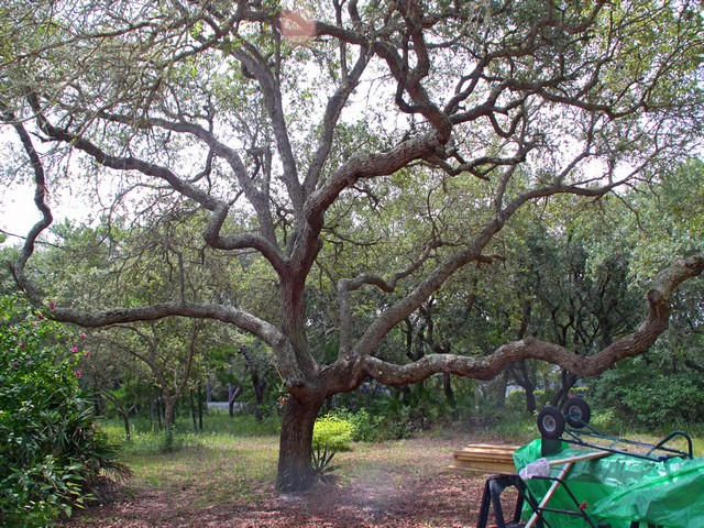 EASTERN LAKE ESTATES - Residential