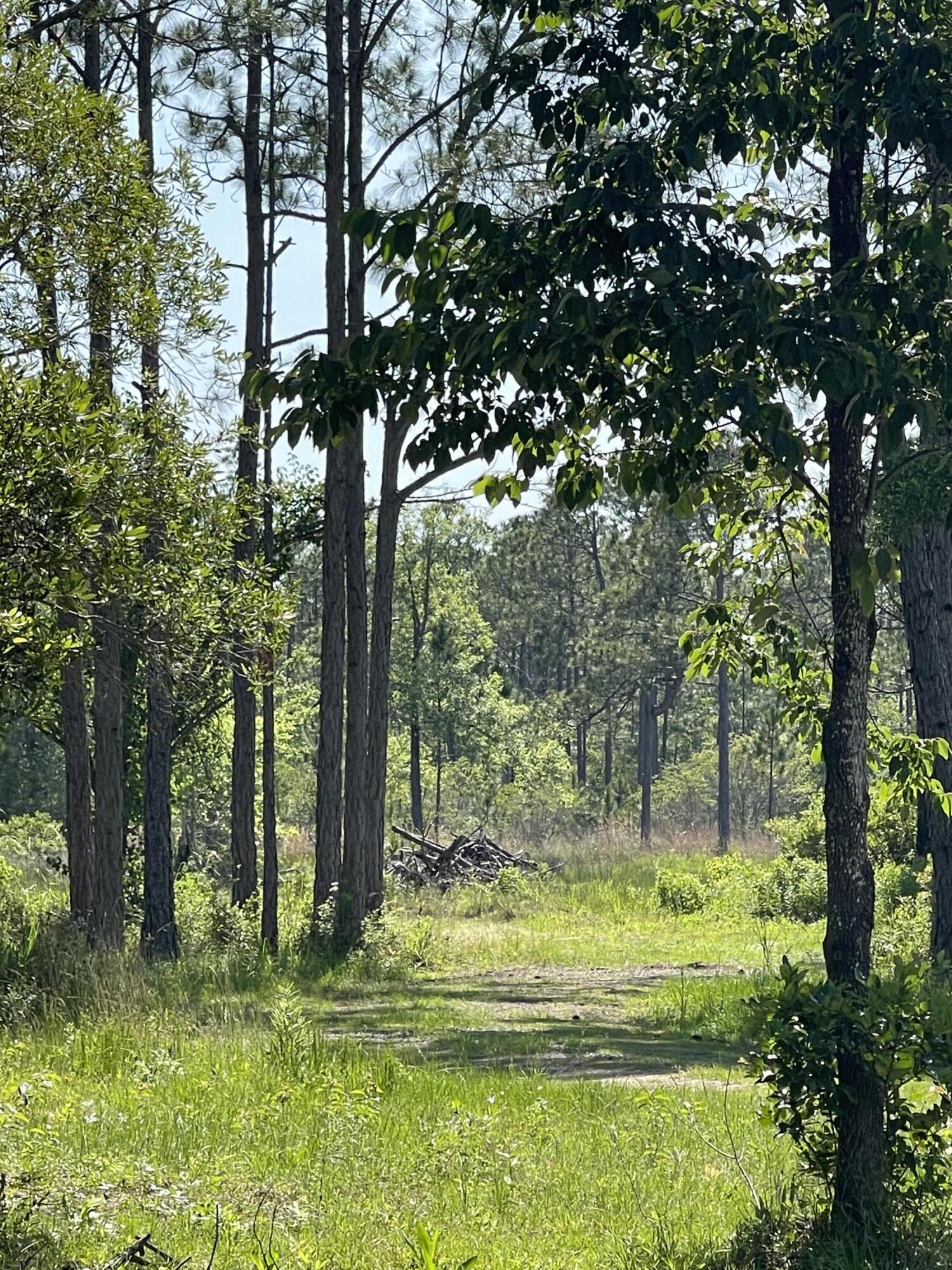 SANTA ROSA PLANTATION - Land