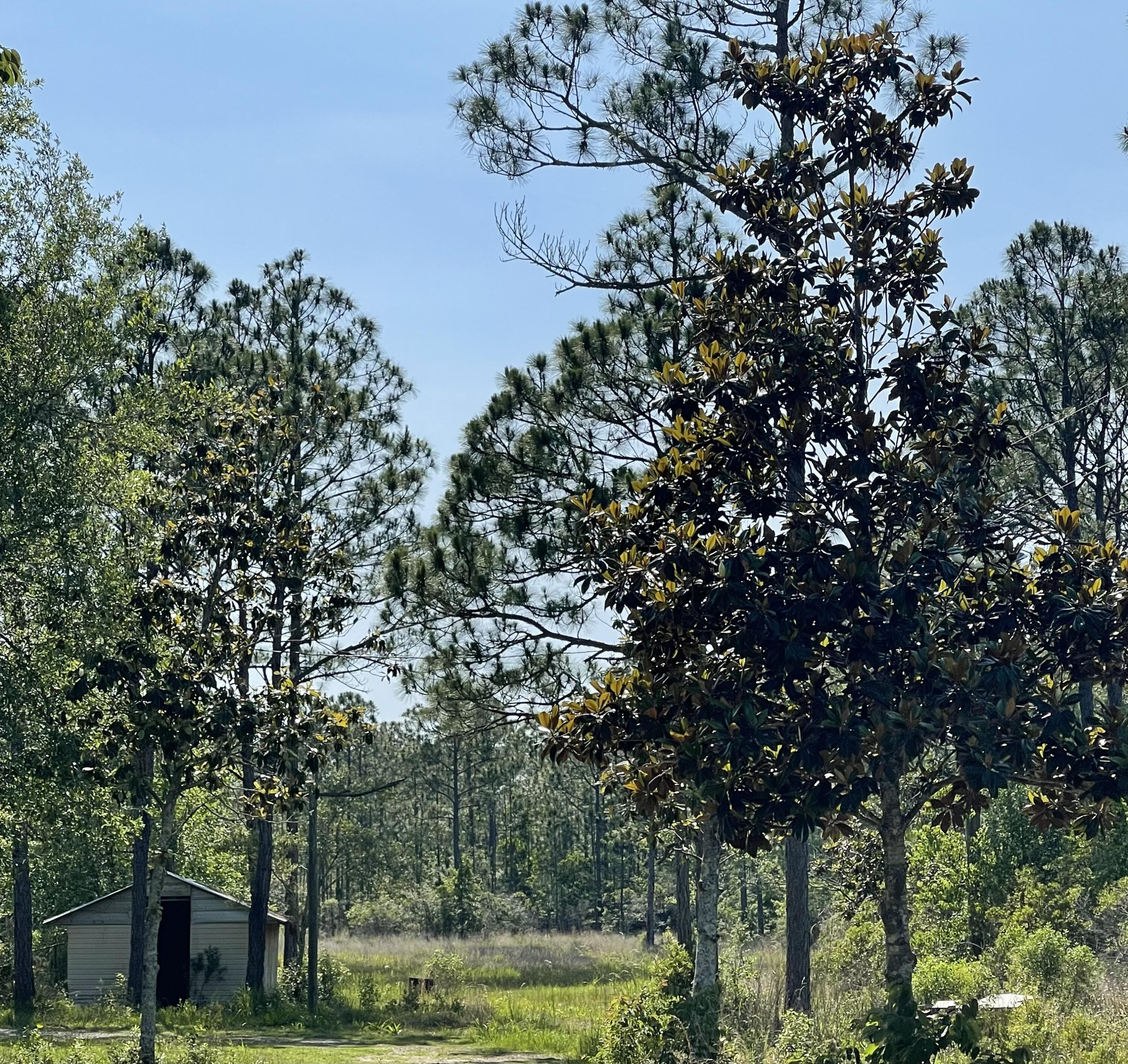 SANTA ROSA PLANTATION - Land
