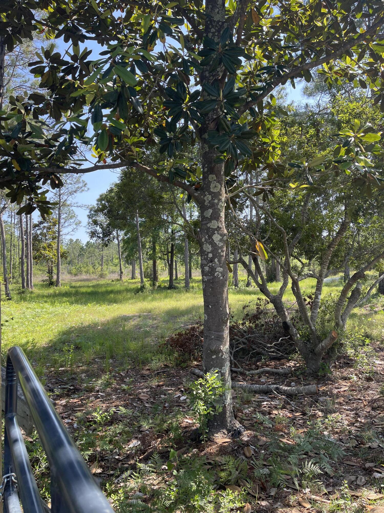 SANTA ROSA PLANTATION - Land