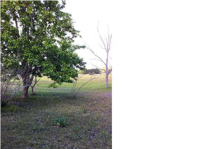 ESCAMBIA FARMS - Residential