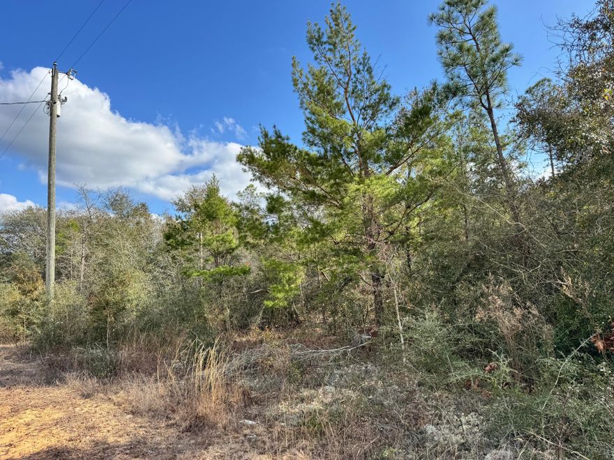Discover the perfect opportunity in The Pines! This spacious 0.5-acre double lot offers endless potential--bring your builder or place a manufactured home and create the retreat you've been dreaming of. Surrounded by mature, well-established trees, the property provides a peaceful and private setting ideal for relaxation or everyday living.With no HOA restrictions, you'll enjoy the freedom to design and build your way. Conveniently located off Hwy 90 just east of the City of Crestview, and near State Road 285, you'll have quick access to the beautiful beaches, local military bases, and nearby shopping, dining, and entertainment.Don't miss out on this rare find in a prime location--your dream property is waiting in The Pines!