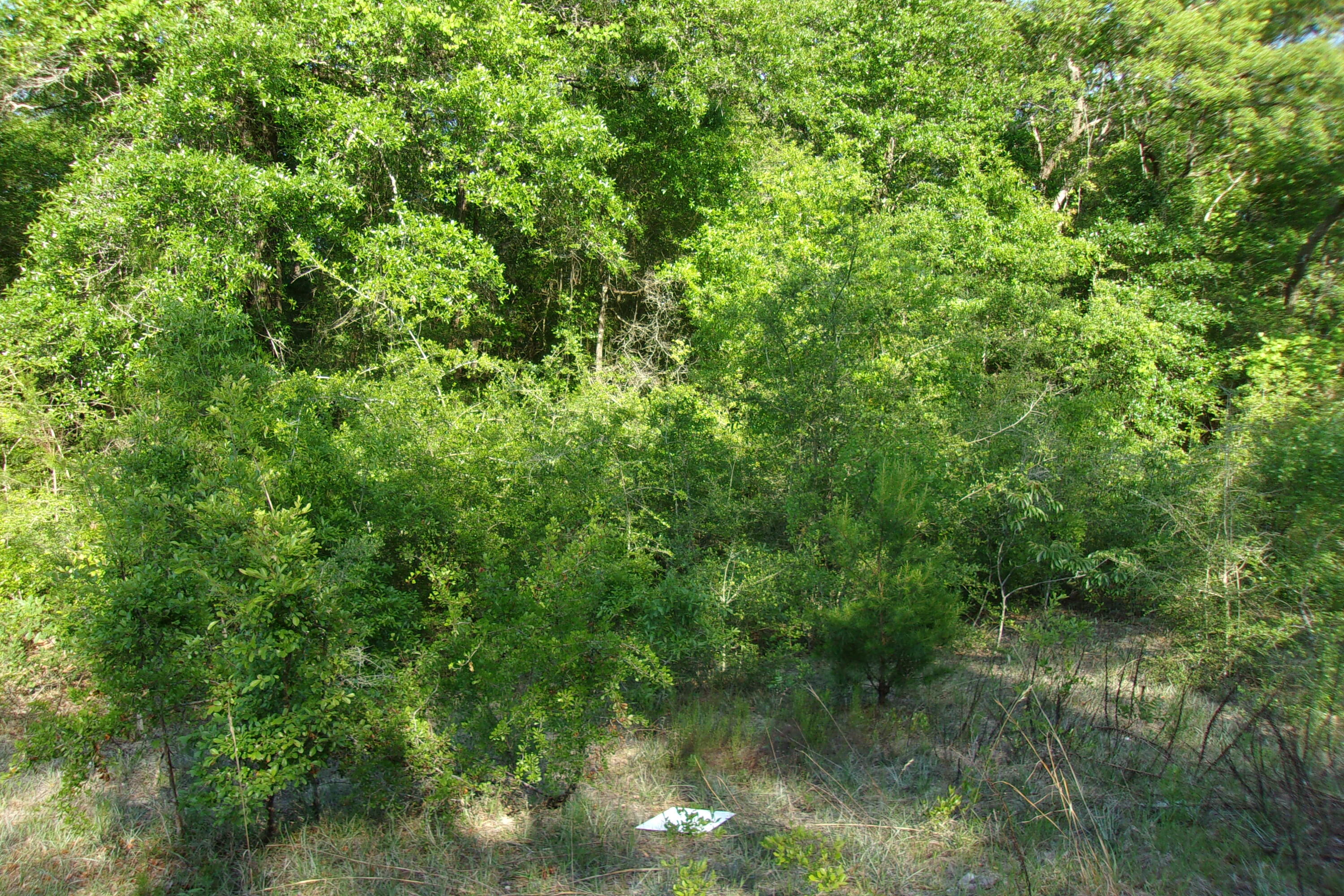Just East of Crestview between Hwy 393 and Hwy 285~ There are 4 adjoining lots on Rosebud South~ There is power available, (power lines through out the area)~