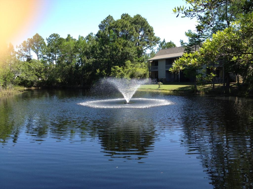 CASSINE GARDENS T/H PH 1 - Residential