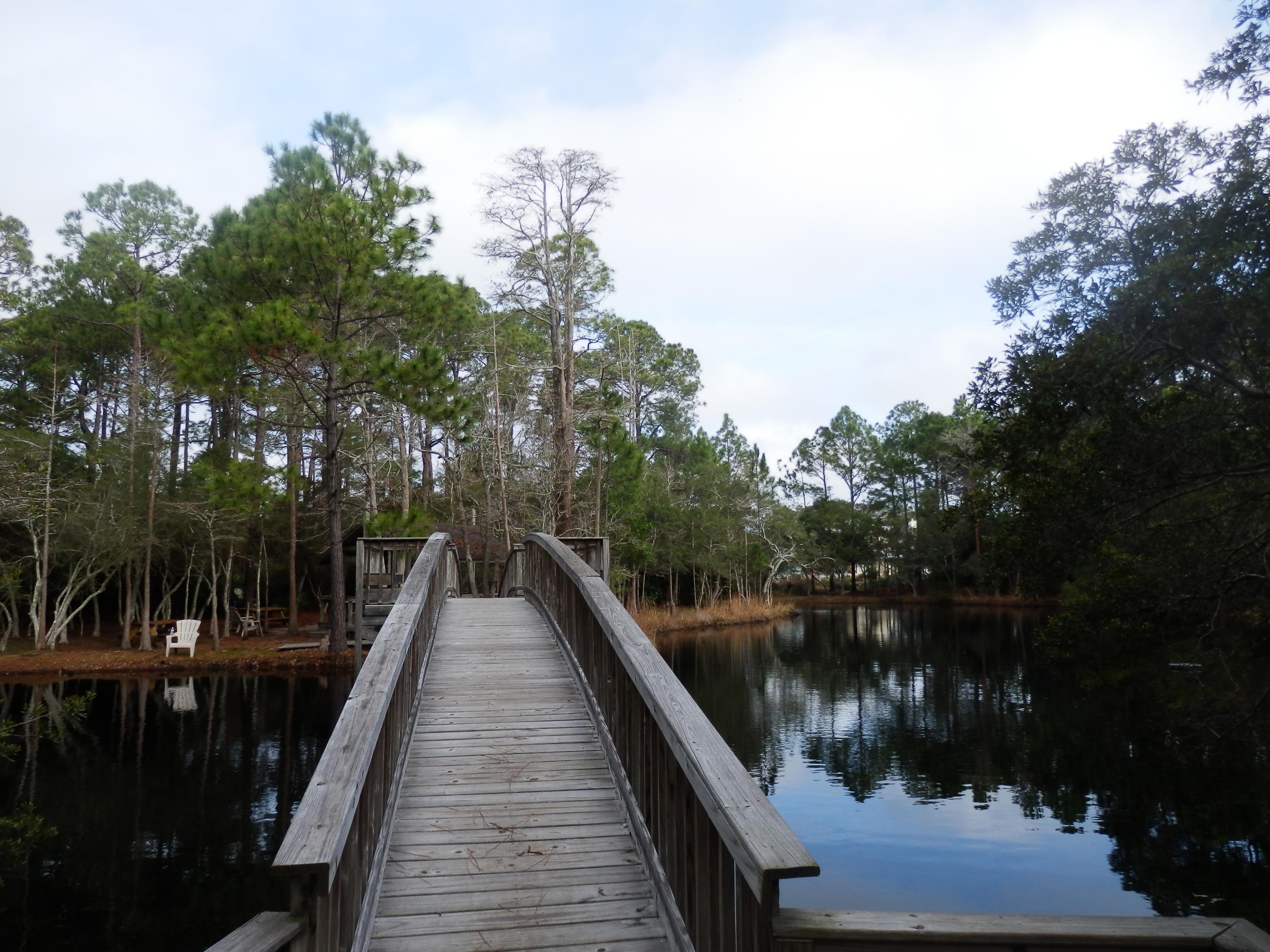CASSINE GARDENS T/H PH 1 - Residential