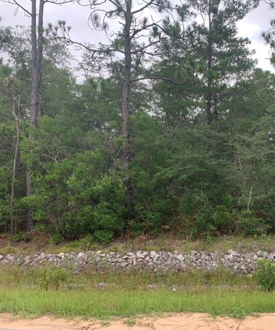 Very nice, wooded lot in quiet area of North Walton County. Great investment opportunity! Property is located on a paved road with easy access to HWY 90 and a short trip to everything that DeFuniak Springs has to offer. Perfect to build your custom home or place your manufactured home. Great area and Great value! Minutes from I-10 in Mossy Head. No HOA. 30 minutes from beach.