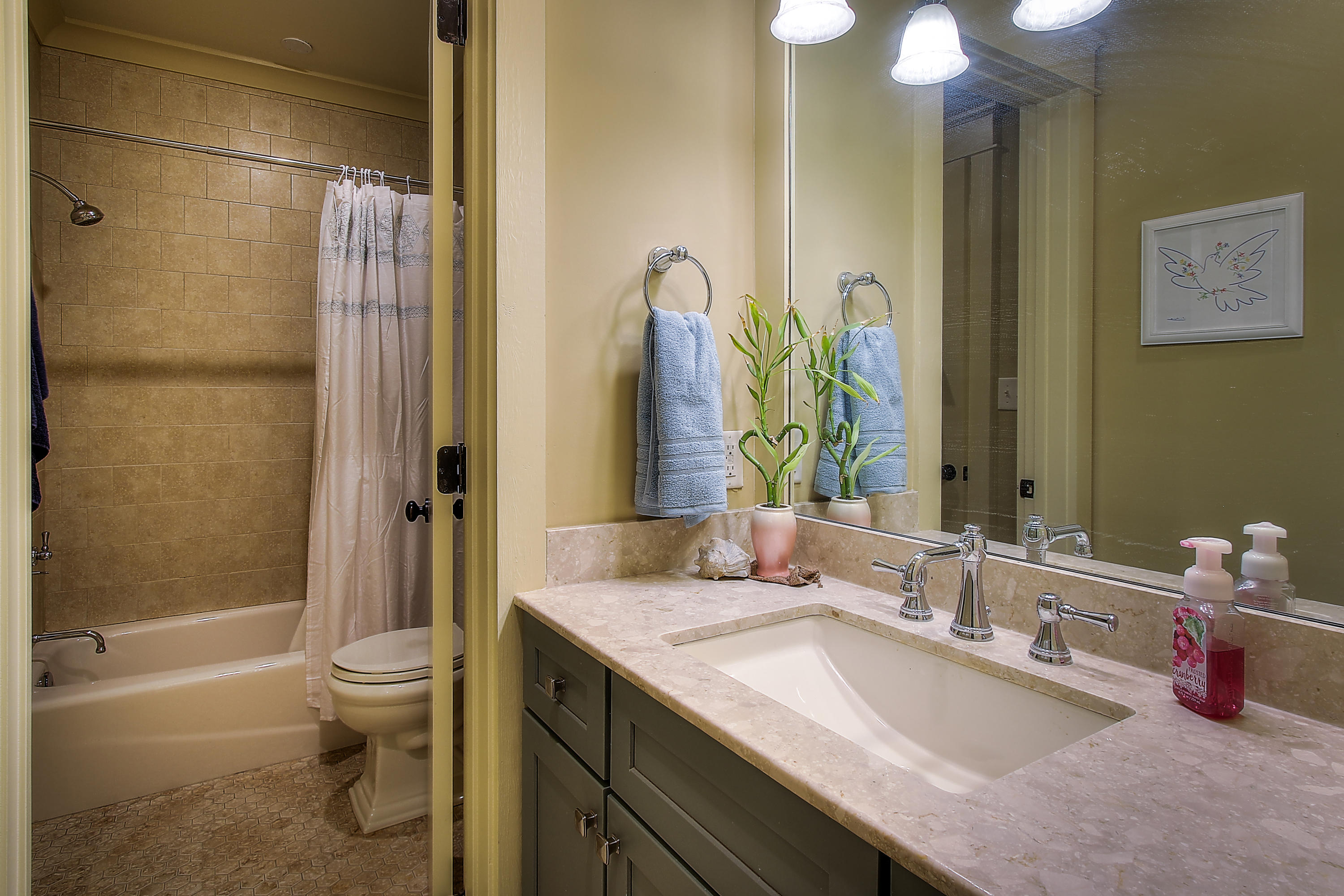 GRANDE POINTE AT INLET BEACH - Residential