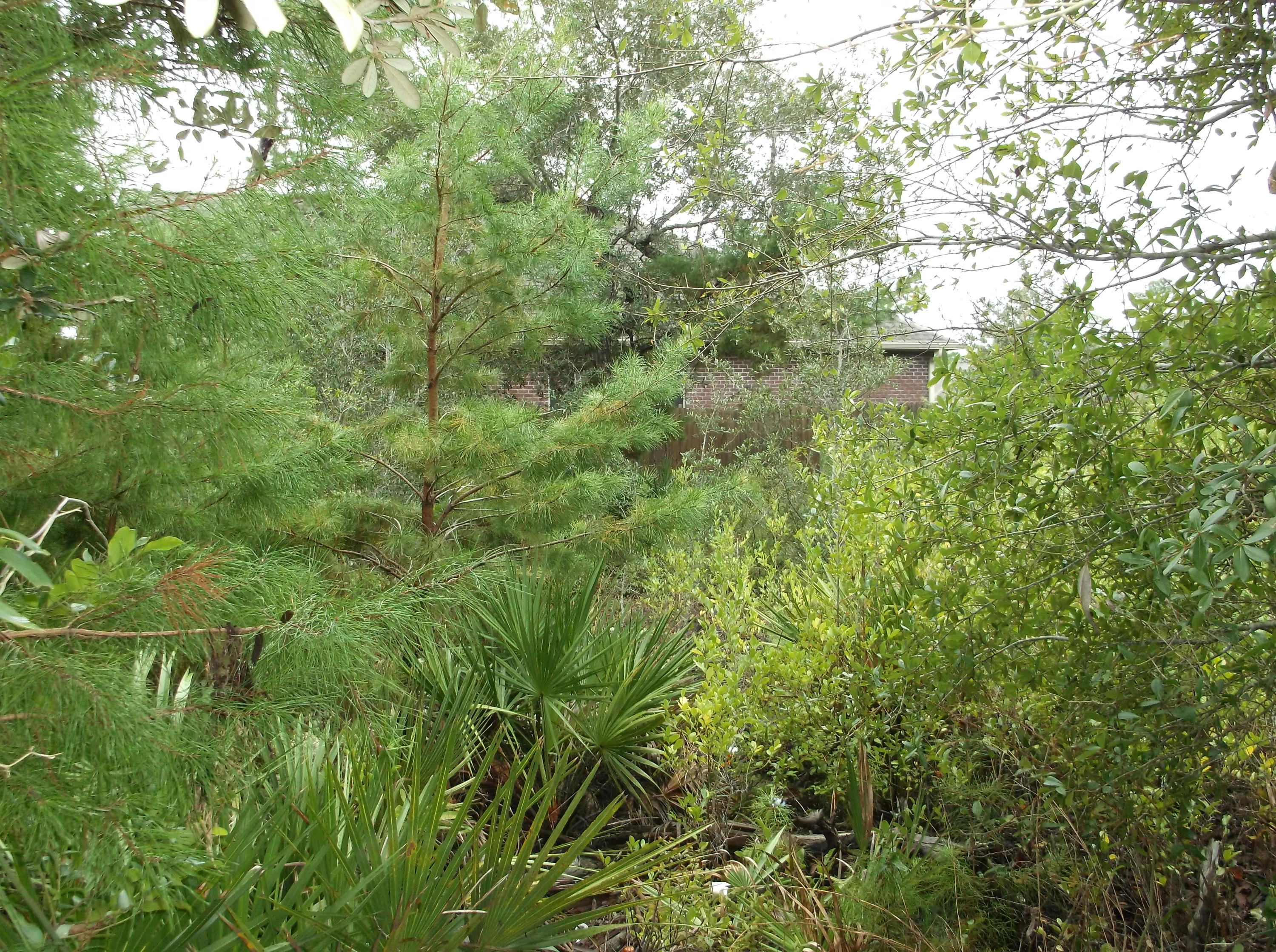 TREASURE ISLE ESTATES - Land