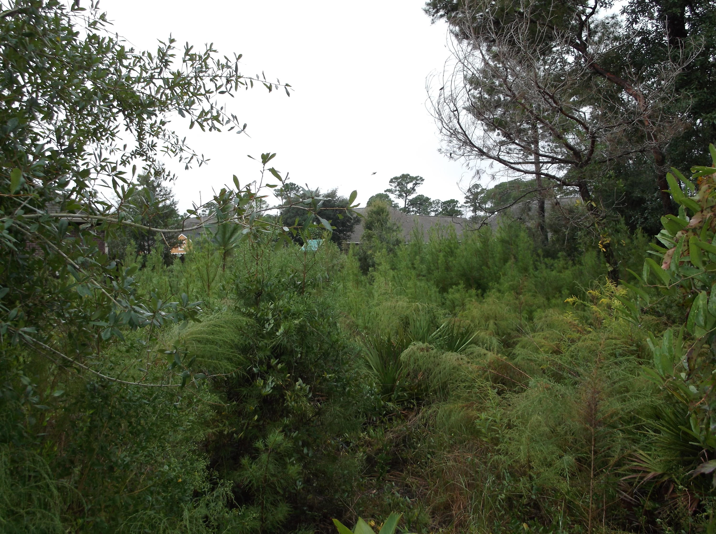 TREASURE ISLE ESTATES - Land