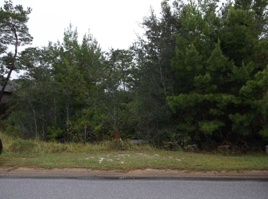 VACANT LOT IN NICE SUBDIVISION READY FOR YOUR NEW HOUSE. ABOUT 9 MILES TO NAVARRE BEACH AND CLOSE TO SHOPPING IN NAVARRE. NEWER NEIGHBORHOOD WITH NEWER HOMES. LOT IS SURROUNDED BY NEWER HOMES.