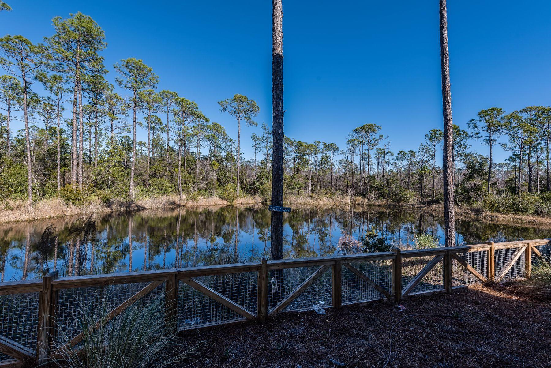 NATUREWALK AT SEAGROVE - Residential