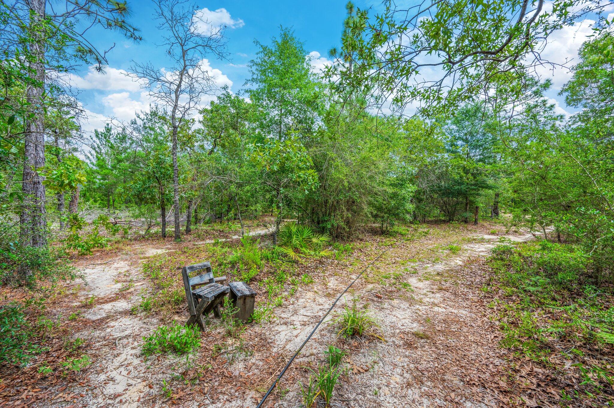 MOUNT OLIVE ESTATES - Residential