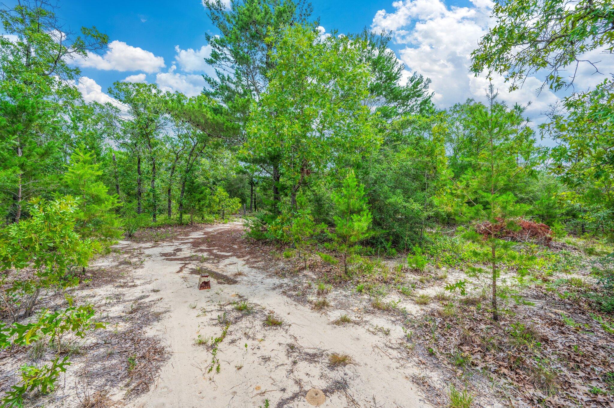 MOUNT OLIVE ESTATES - Residential