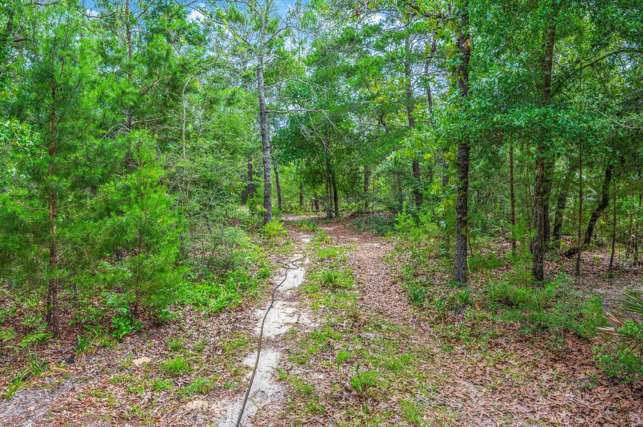 MOUNT OLIVE ESTATES - Residential