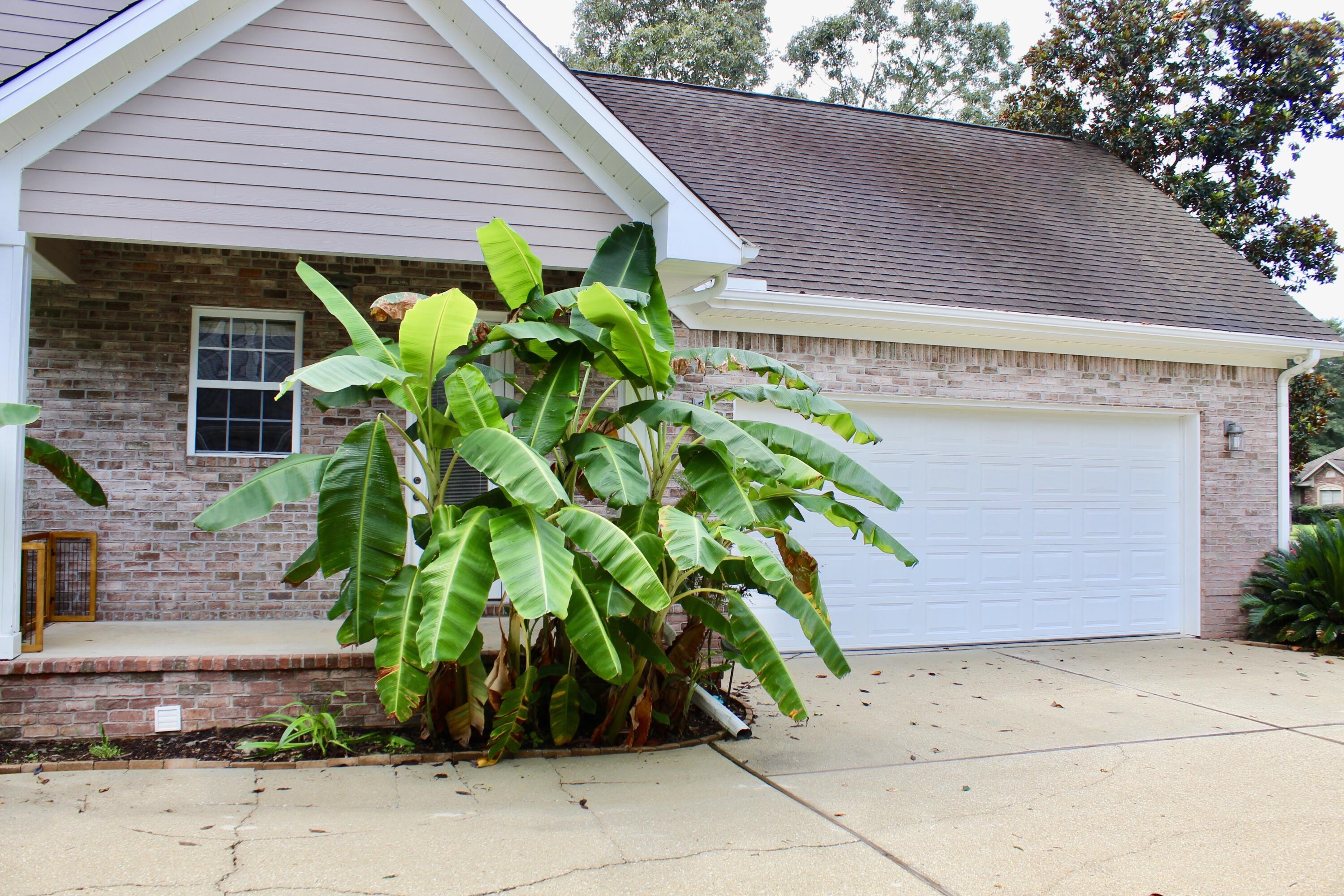 DORCHESTER PLACE - Residential