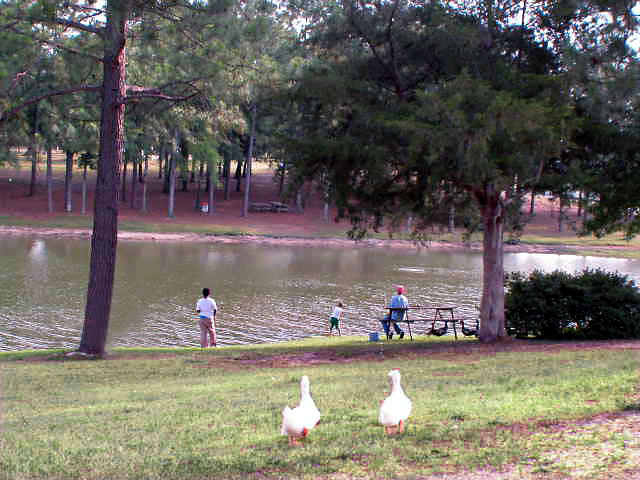 Crestview - Residential