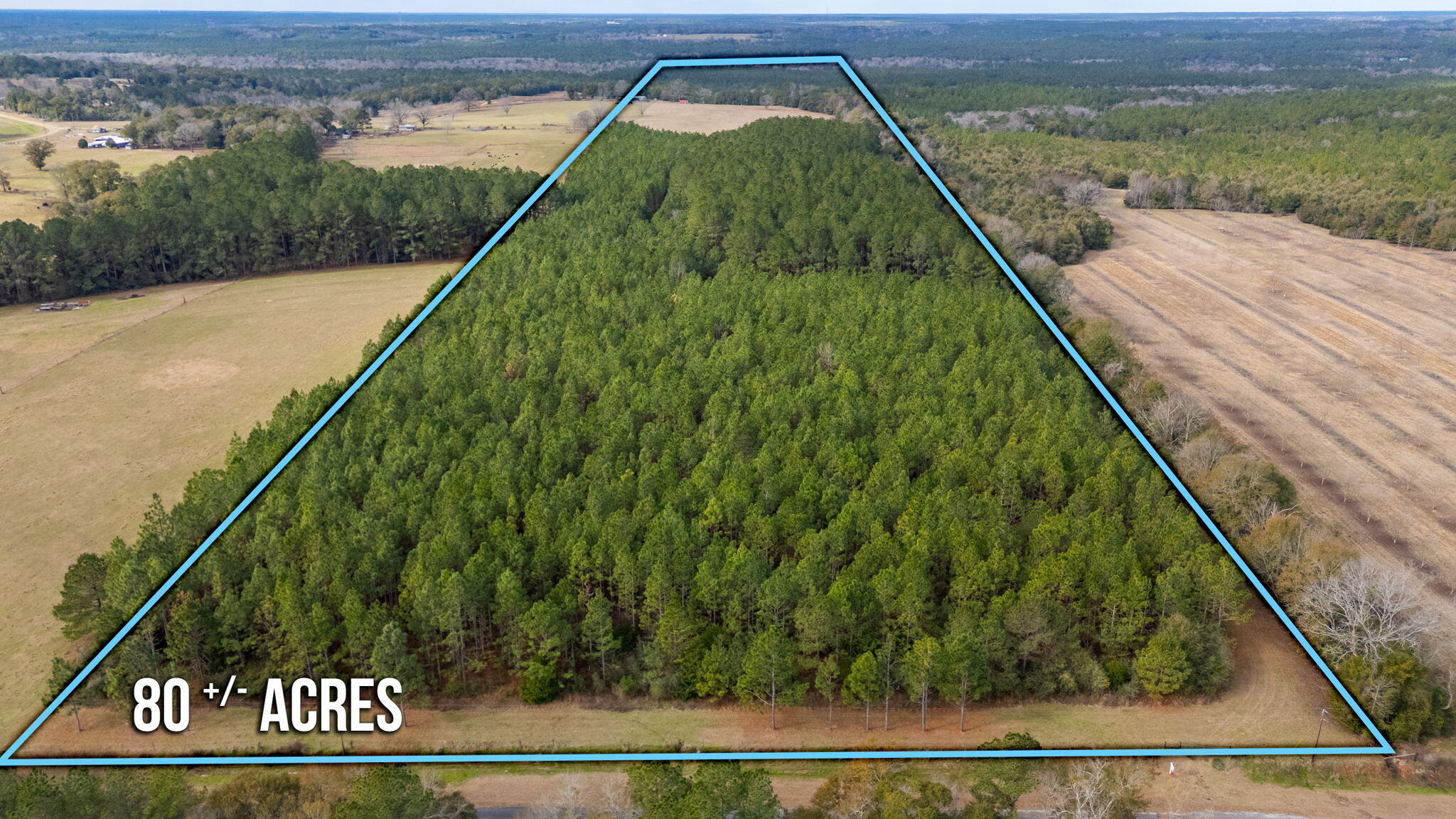 Located outside of the Florala community with easy access to Crestview and Eglin AFB this 81 acres is a ONE-OF-A-KIND! Paved road welcomes you with 32 wooded acres of a mix of growth pines in front allowing privacy galore and opens to a large pasture of over 22 acres with views for miles! The front portion has roads and is great for your hunting dreams before entering into the opening of pasture for cows, horses, and livestock that is it currently used as a hay field. Beyond the pasture is a large, cleared area that the views are indescribable with miles of unobstructed views PERFECT for you to build your dream home. The property currently has power, well, and septic in place as well as storage buildings. Even more amazing below the pasture you will find a spring feed half acre pond.