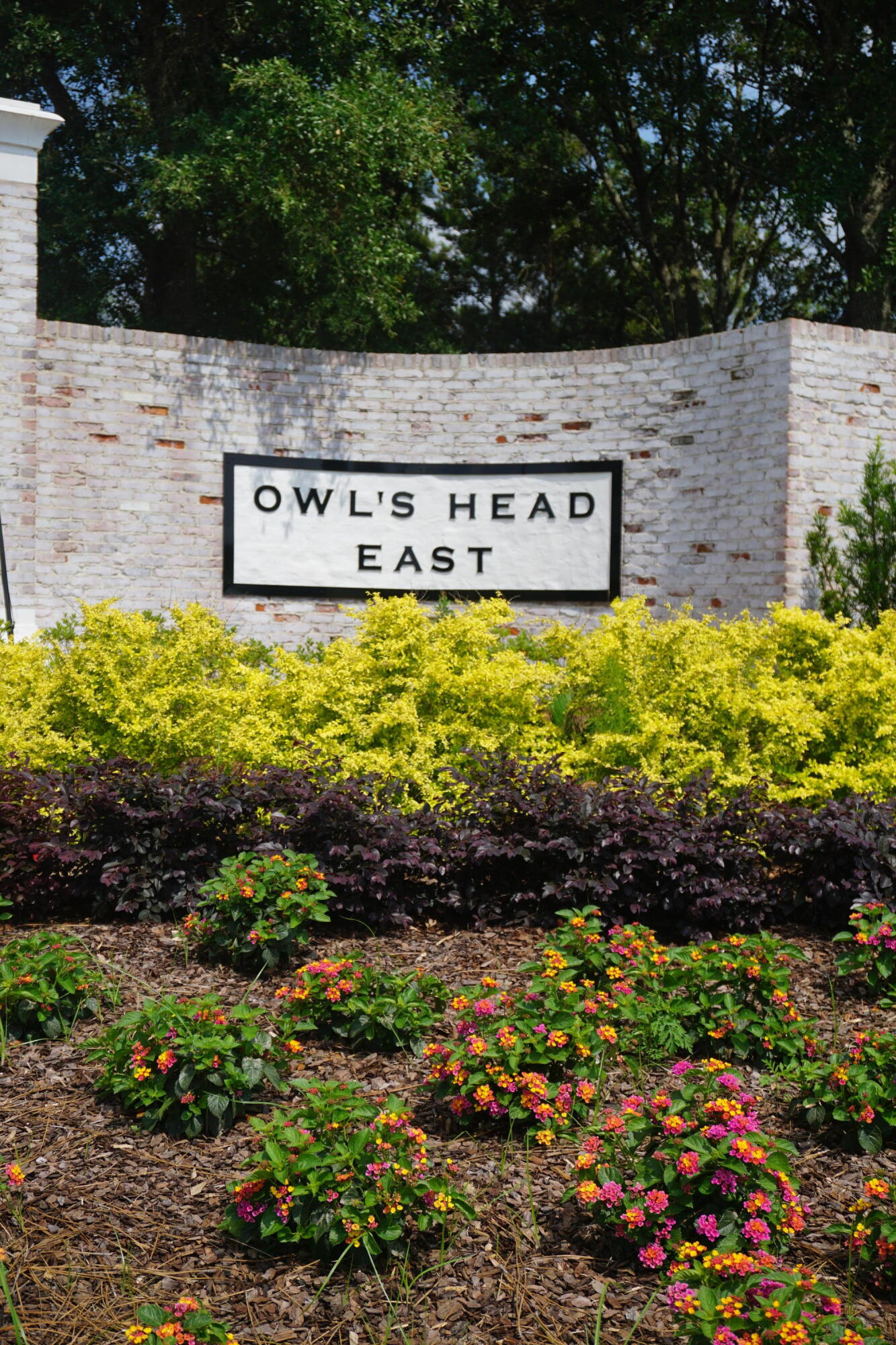 Owl's Head East - Land