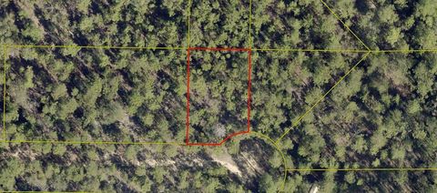 Photo of 164 E Honeysuckle Street, Mossy Head, FL 32434 (MLS # 969458)