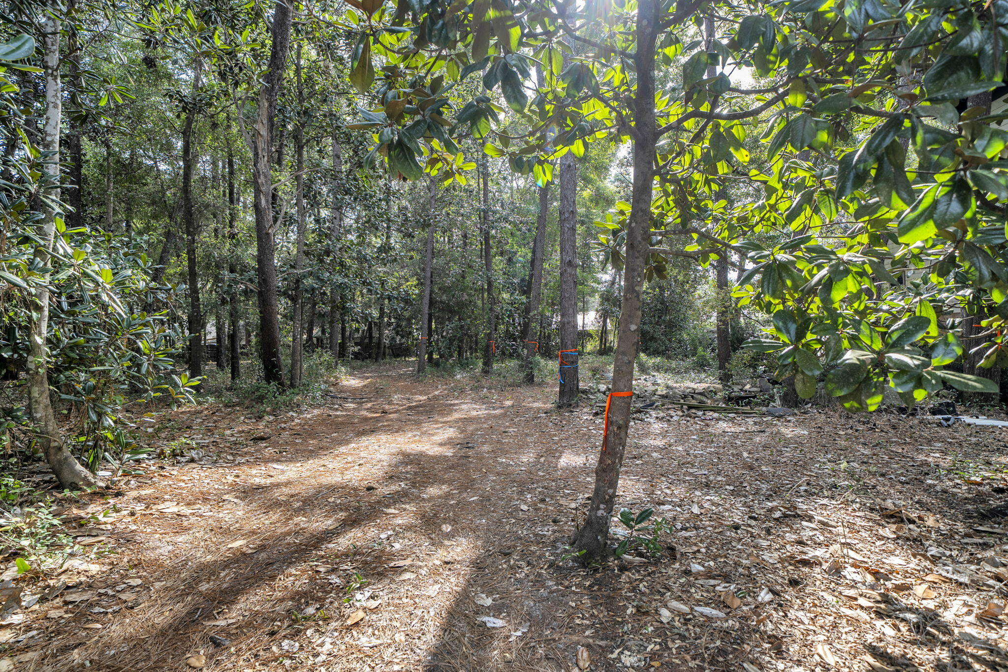 DAUGHETTES AMENDED - Land