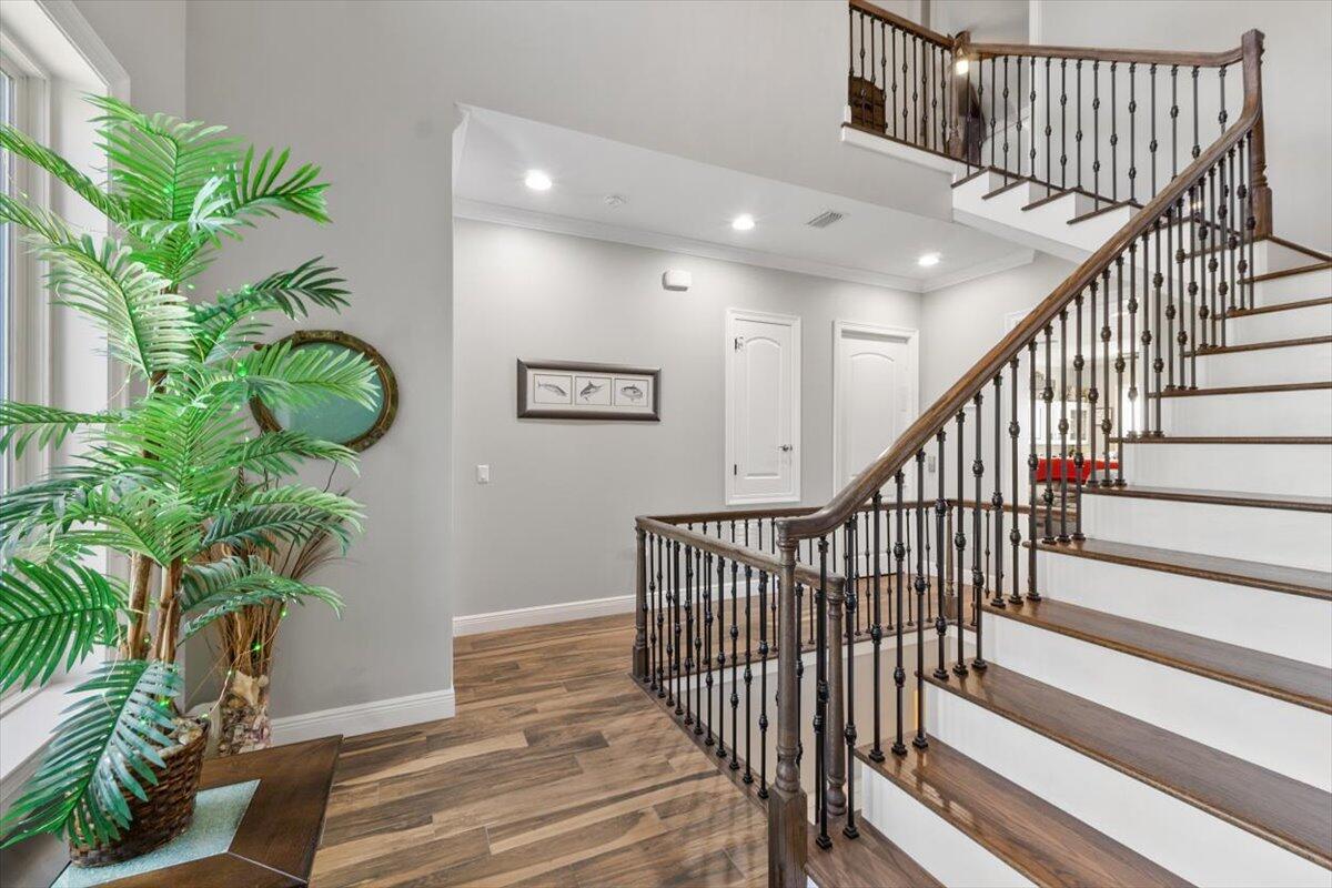 The Pointe - Residential