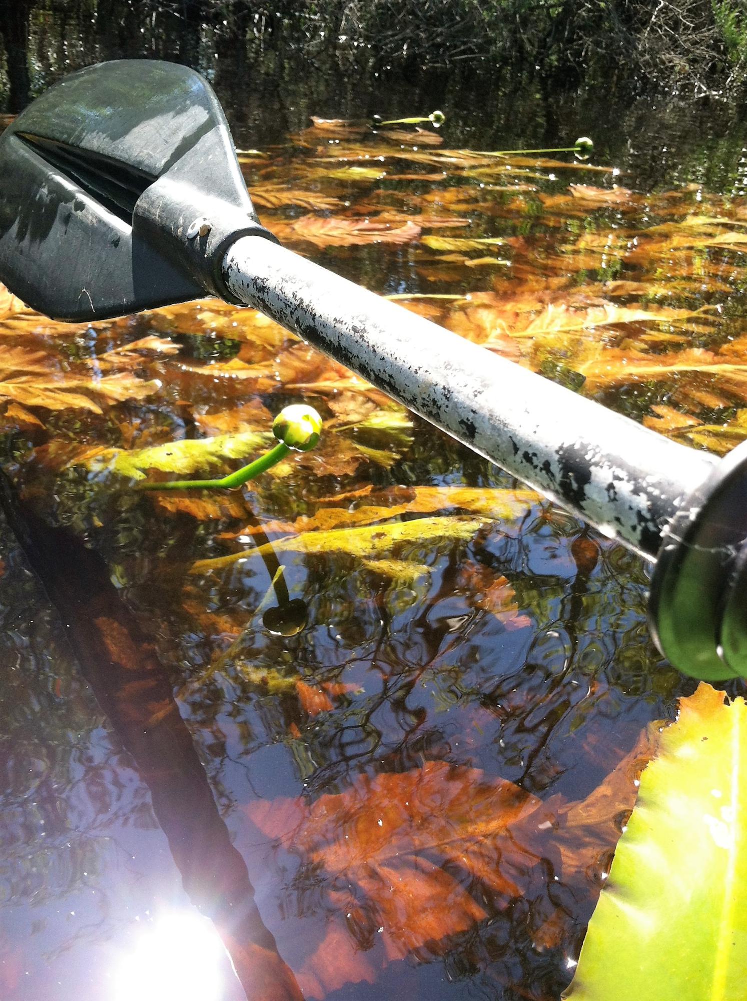 WHISPERING PINES ESTATES - Residential