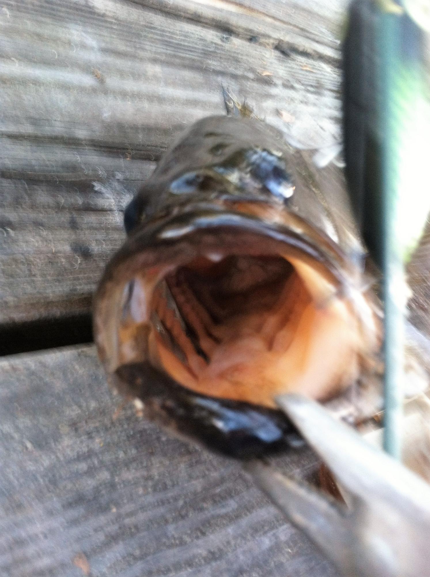 WHISPERING PINES ESTATES - Residential