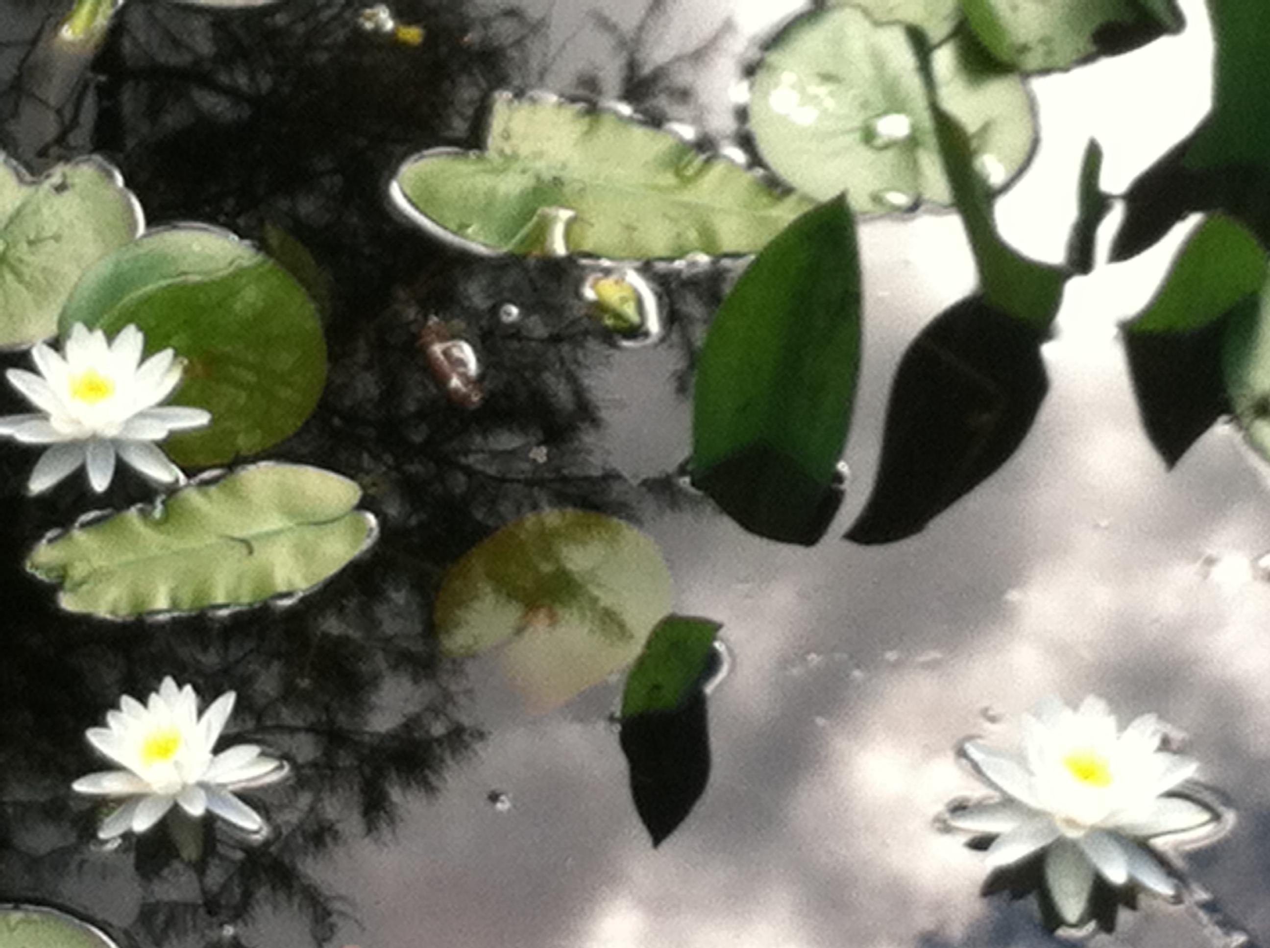 WHISPERING PINES ESTATES - Residential