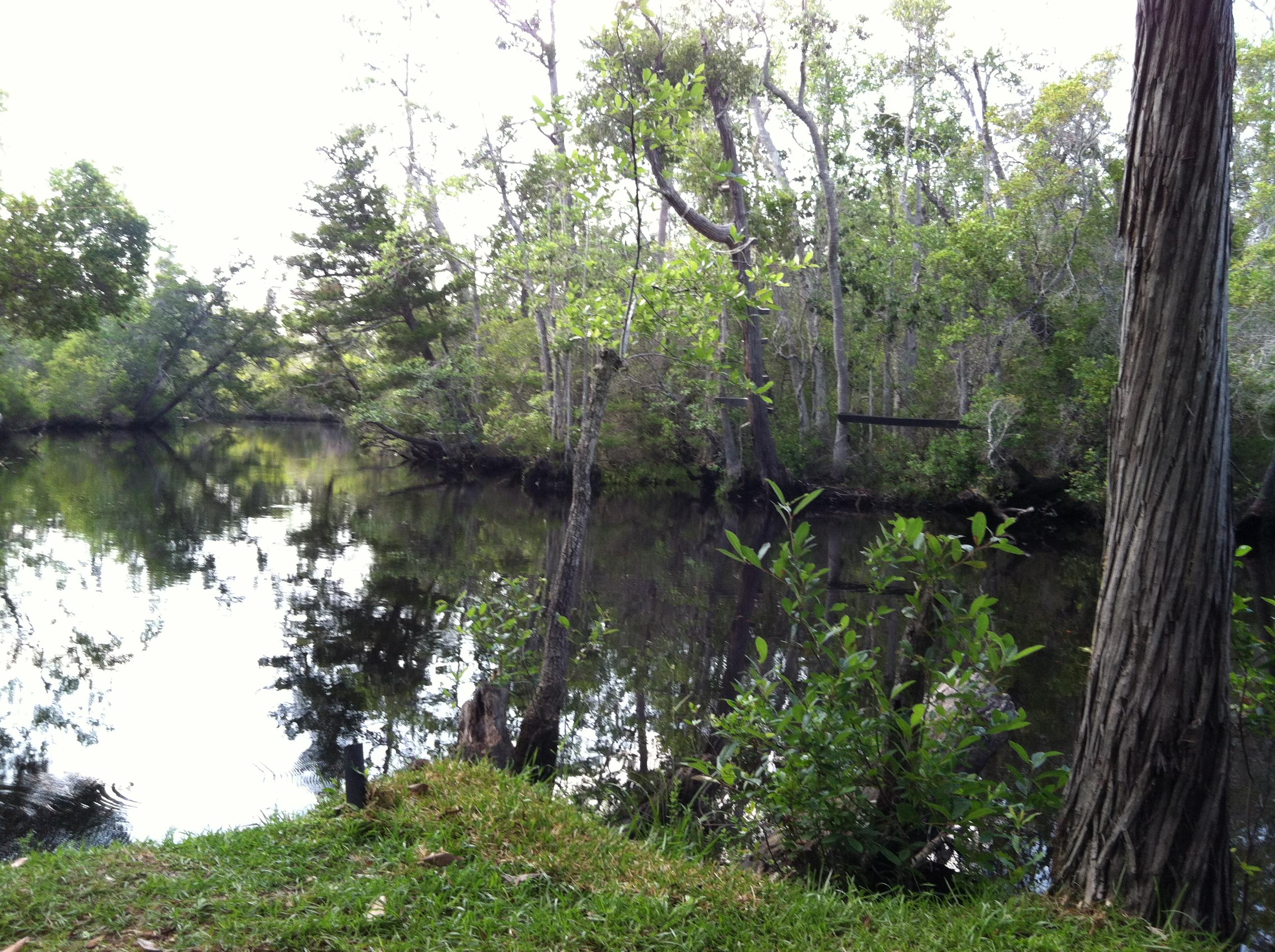 WHISPERING PINES ESTATES - Residential