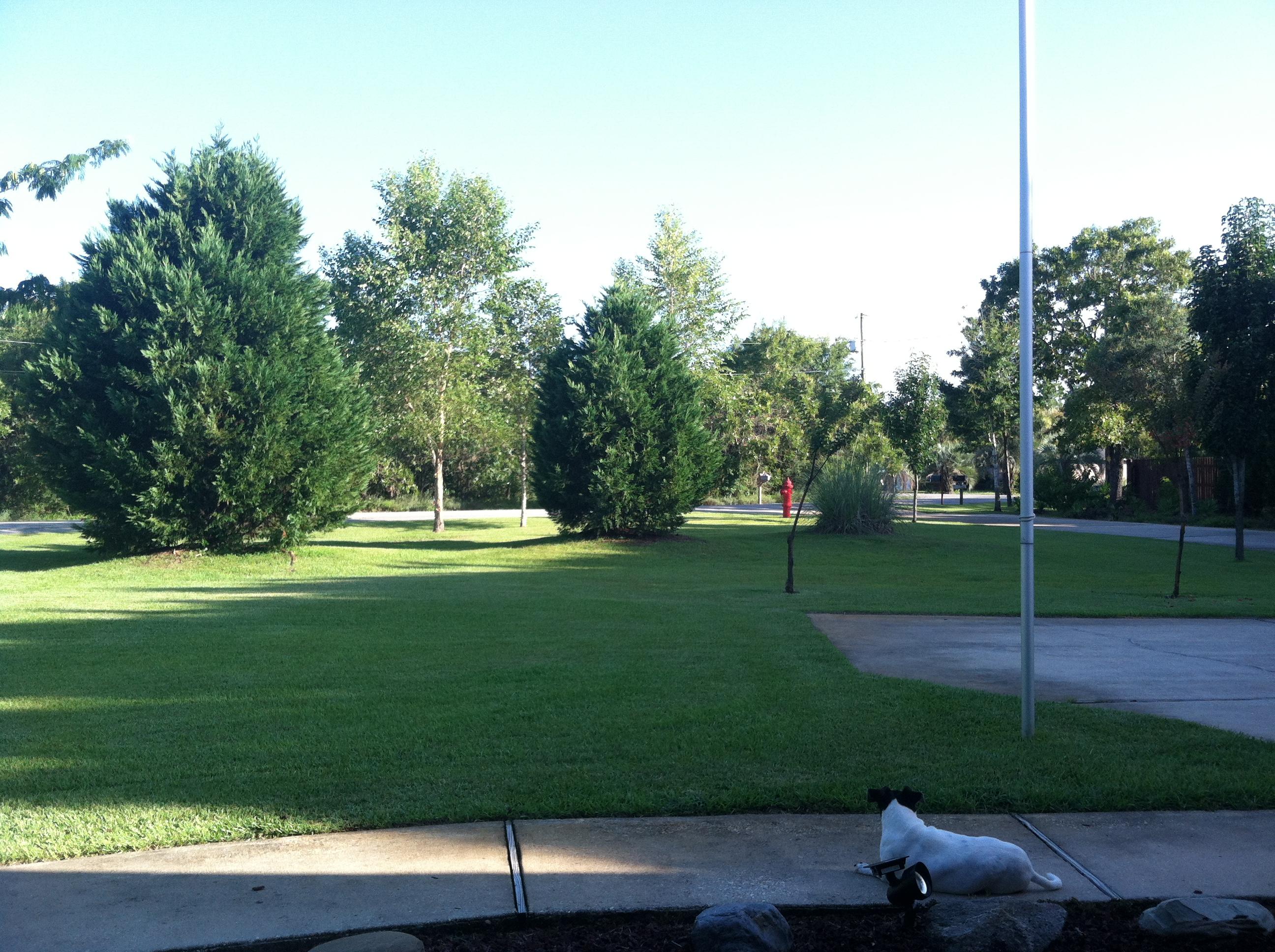 WHISPERING PINES ESTATES - Residential