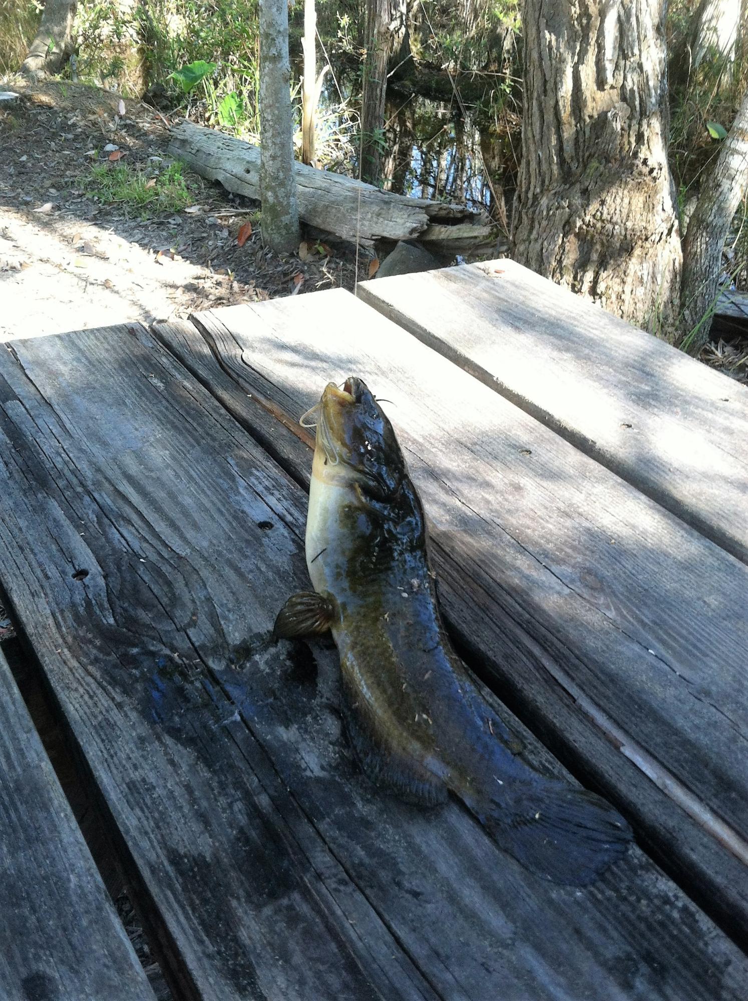 WHISPERING PINES ESTATES - Residential