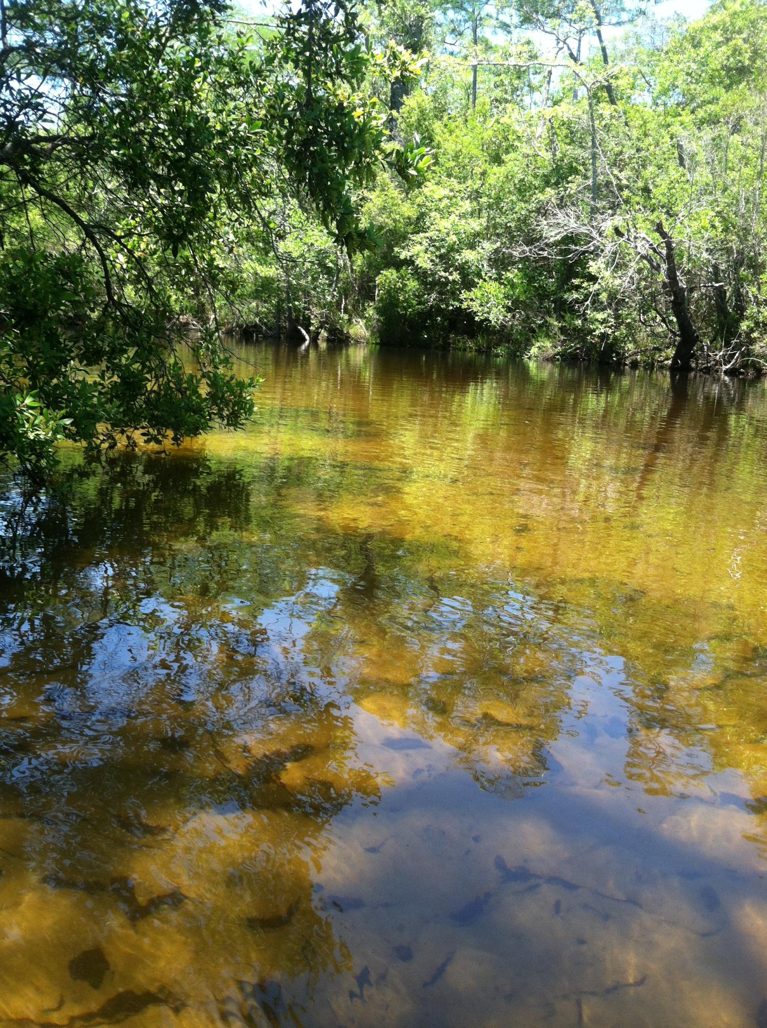 WHISPERING PINES ESTATES - Residential