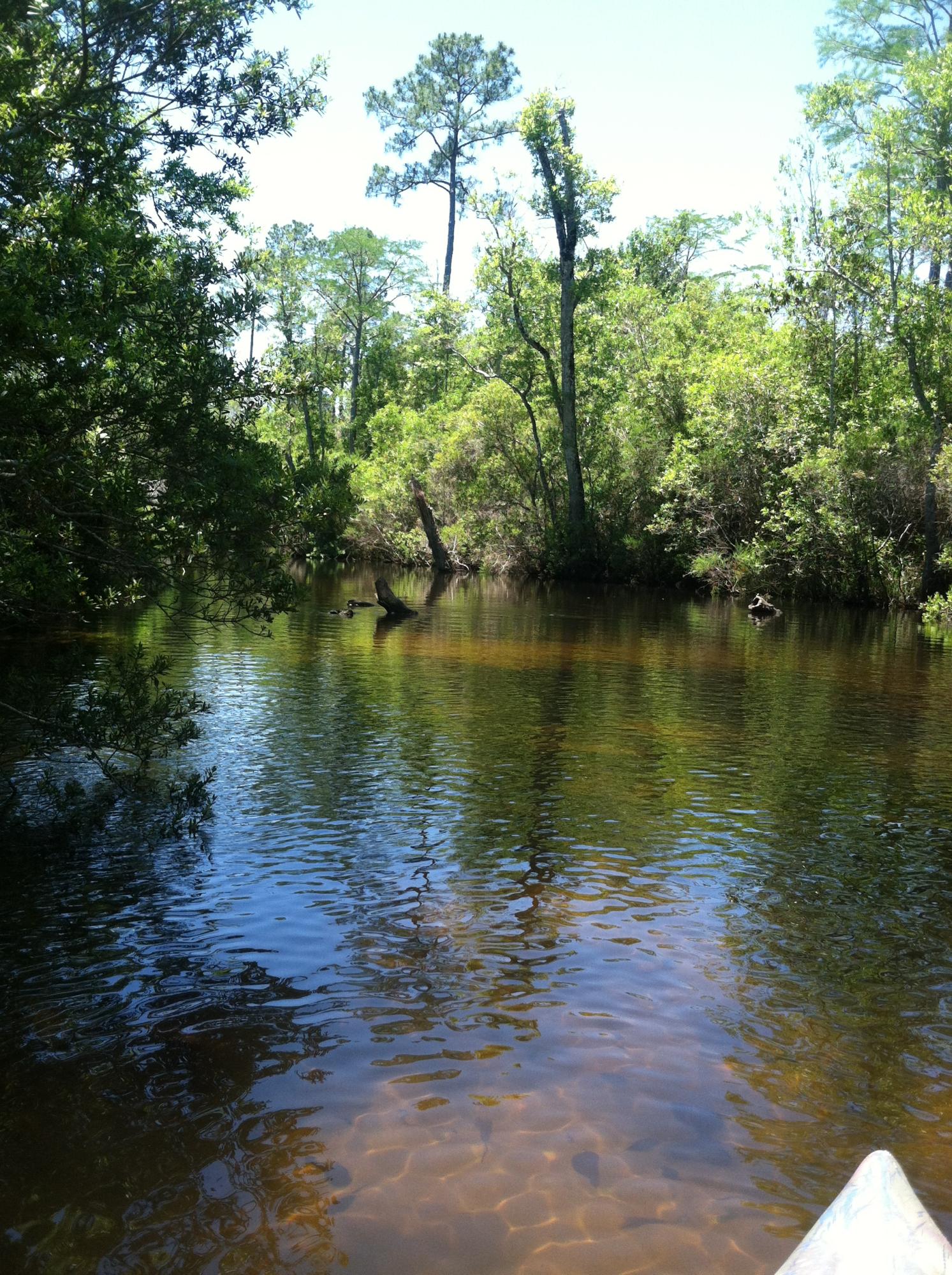 WHISPERING PINES ESTATES - Residential