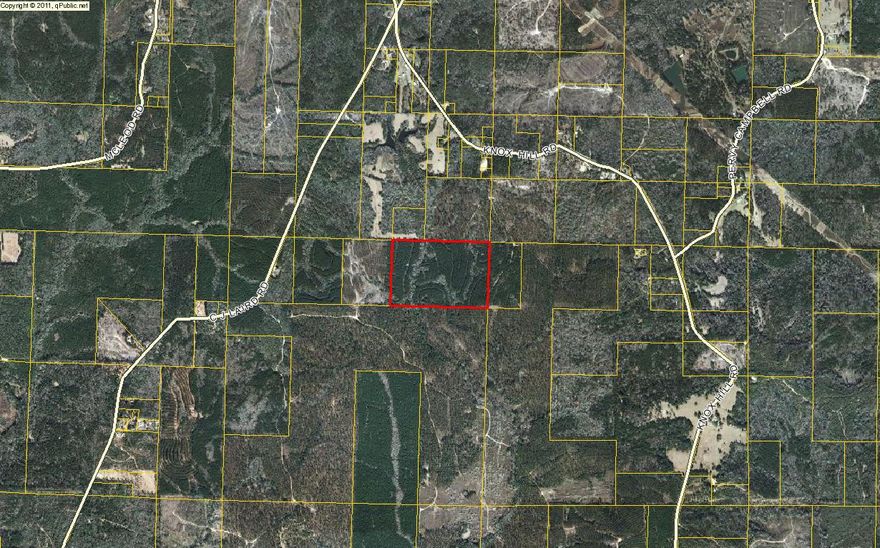 60 acre wooded parcel. Great hunting. Mature trees. Big deer. Price reflects the fact that the subject property has no deeded access. Seller will not be responsible for obtaining deeded access to subject property prior to closing. Sale is contingent on Bill Green Attorney doing the closing.
