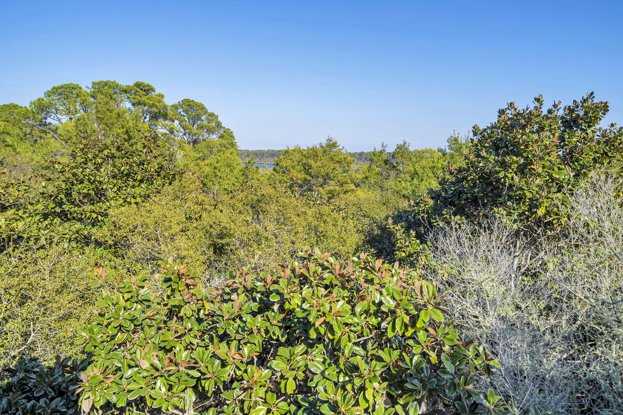 FOUR MILE VILLAGE - Residential