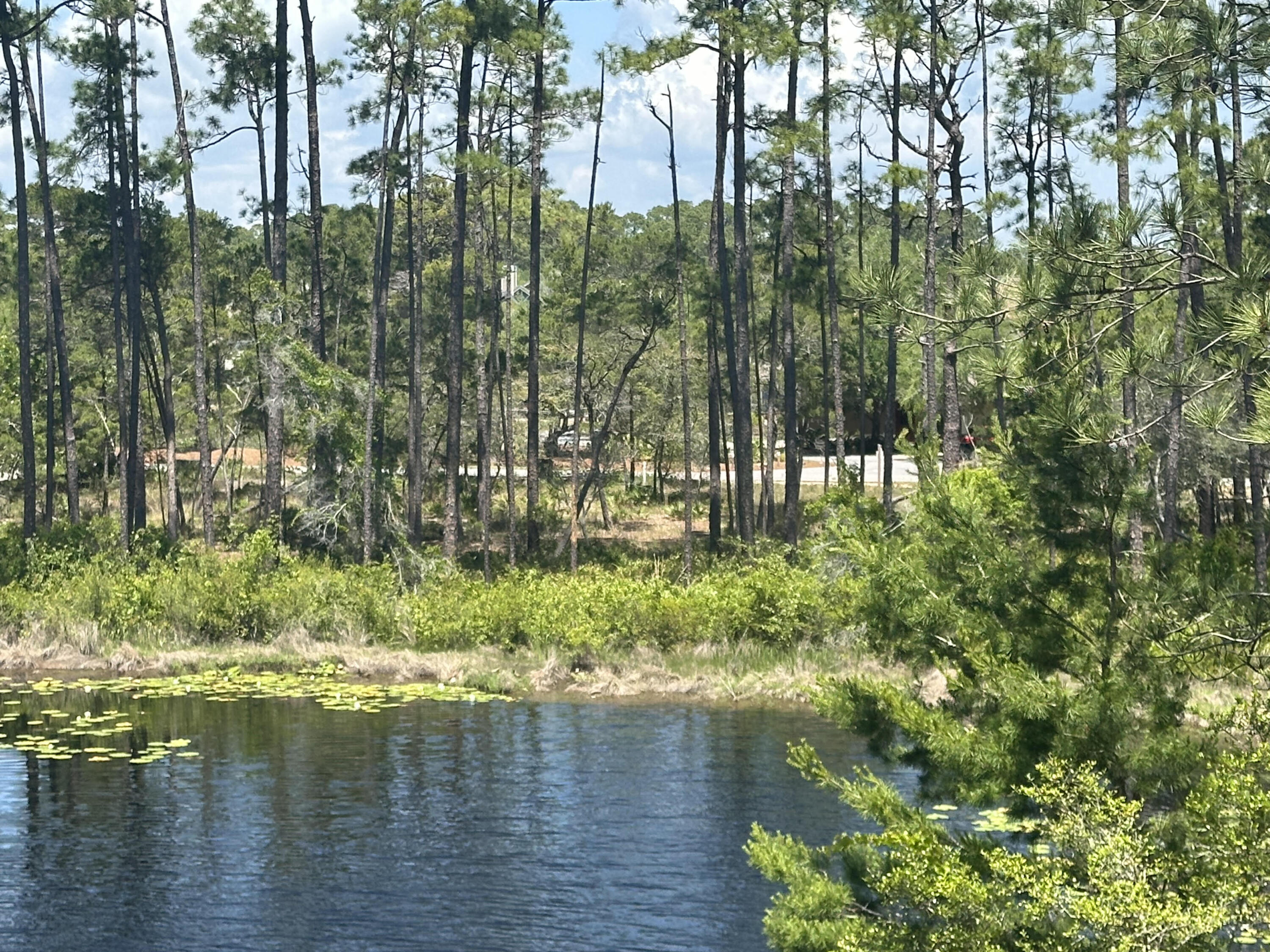 WILD HERON PHASE II - Land