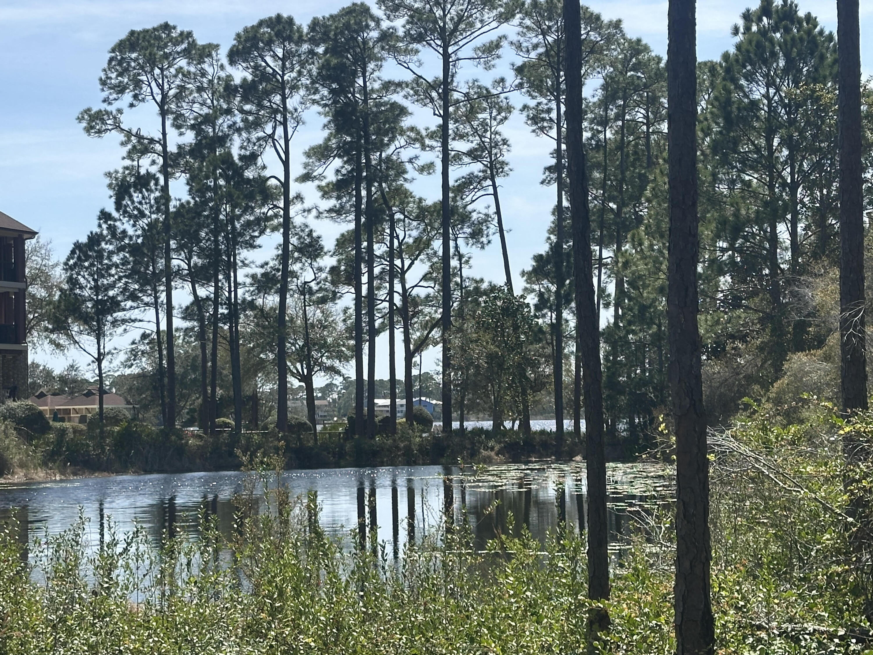 WILD HERON PHASE II - Land