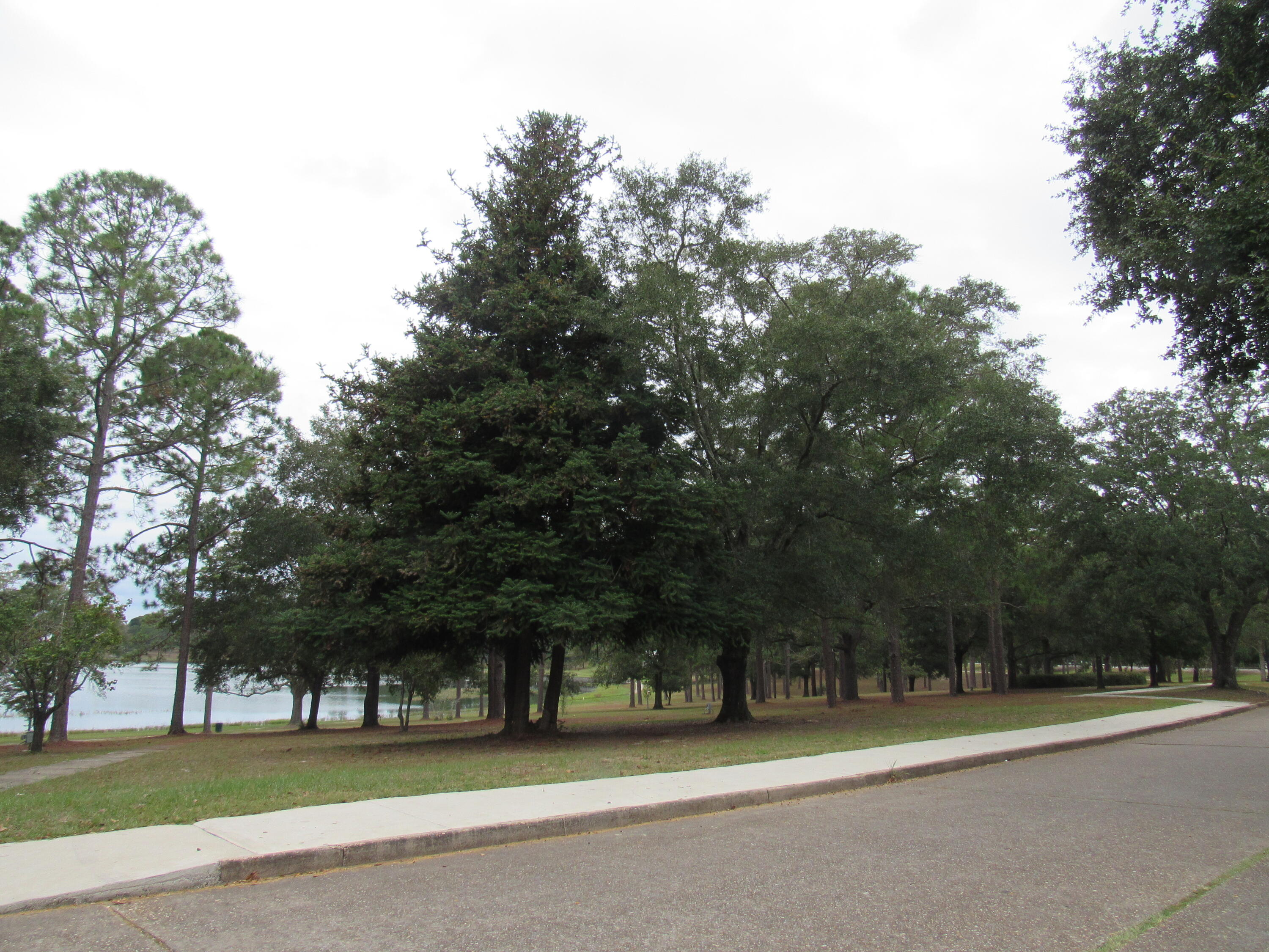 D.L.Campbell - Residential