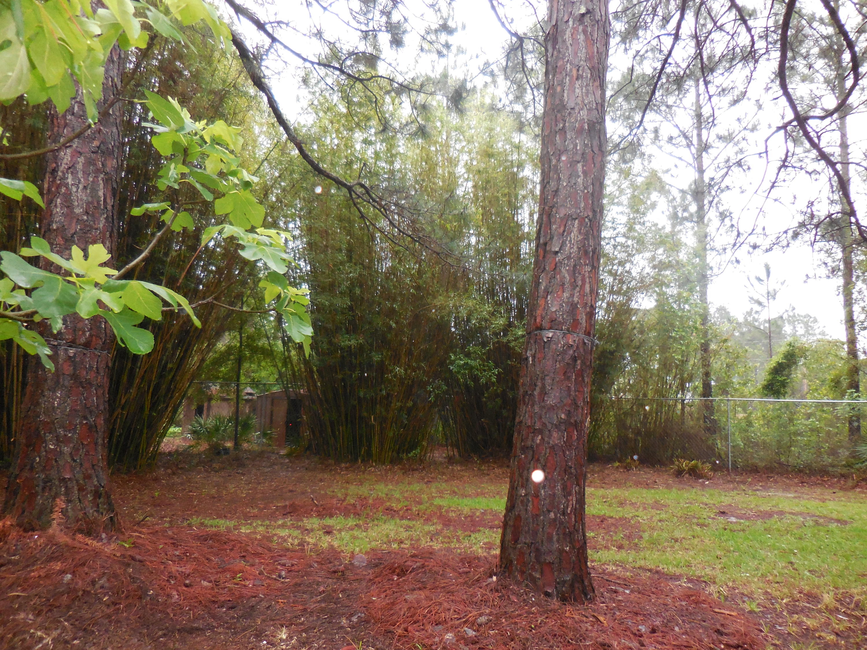 NAVARRE S/D 2ND ADDN - Residential