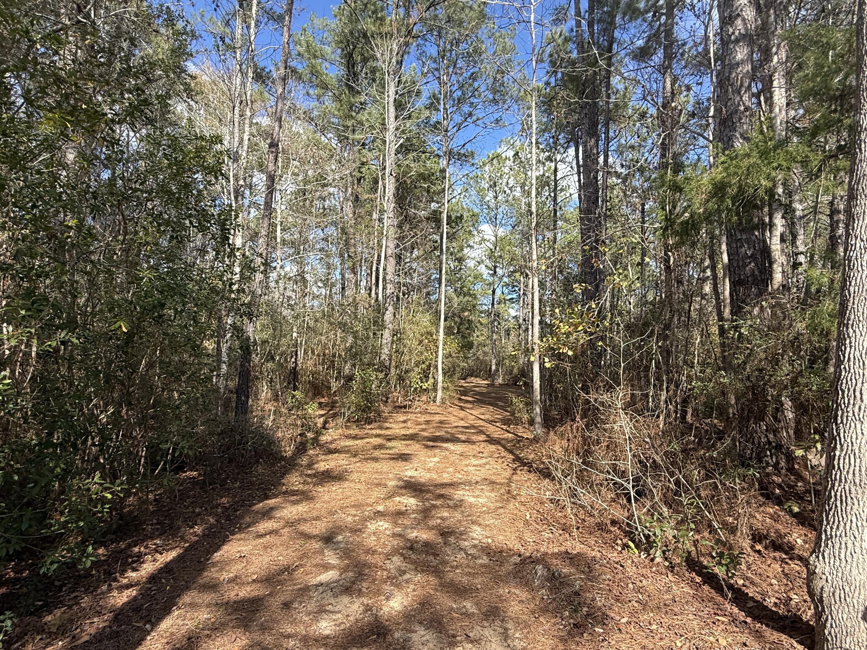 LAGRANGE LANDING - Residential