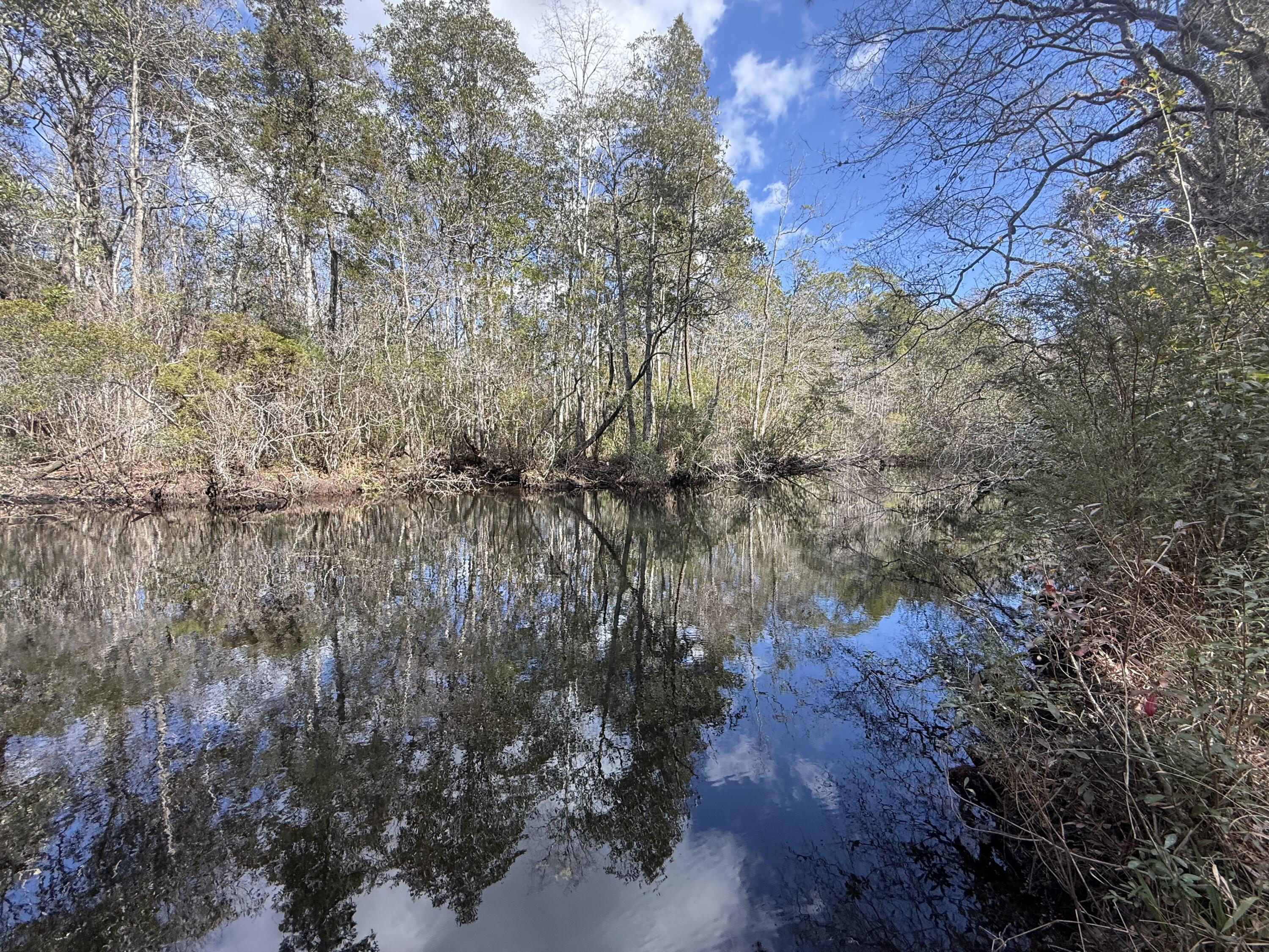 LAGRANGE LANDING - Residential
