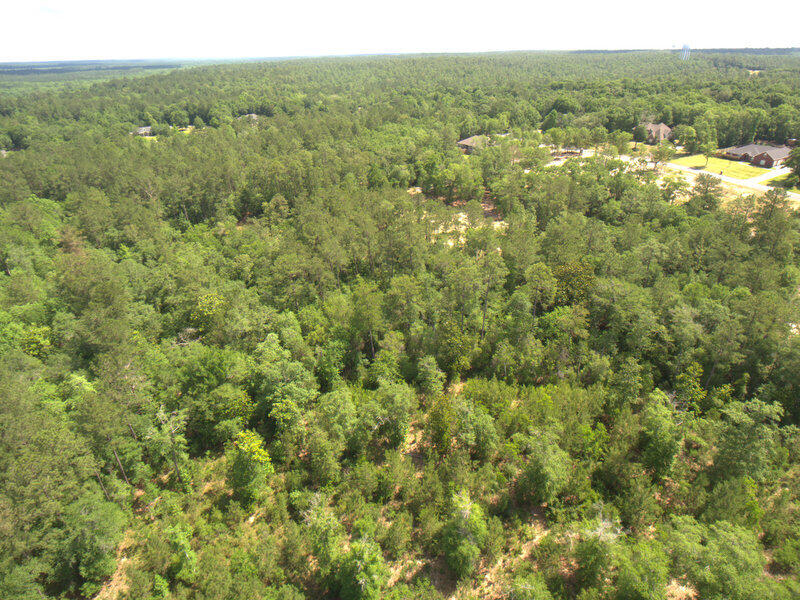 ASHLEY PLACE - Land
