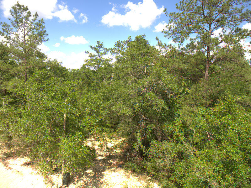 Extremely rare find of over 5 acres in a neighborhood of very expensive, high quality, custom homes. This five acres offers seclusion and serenity yet convenient to all Crestview has to offer in shopping, dining and entertainment. The owner had cleared a portion of the property years ago so most has grown back but this will make it quite simple and affordable to clear a few acres for the homesite. There is a small creek on the lower corner of the property and that would make for some awesome landscaping or outdoors activities. This property is in the midst of homes ranging from 400-$700,000 and are on large lots. Come by and take a closer look at this unique property before it is sold. It would be a great place to call home, or hold for an investment going forward.