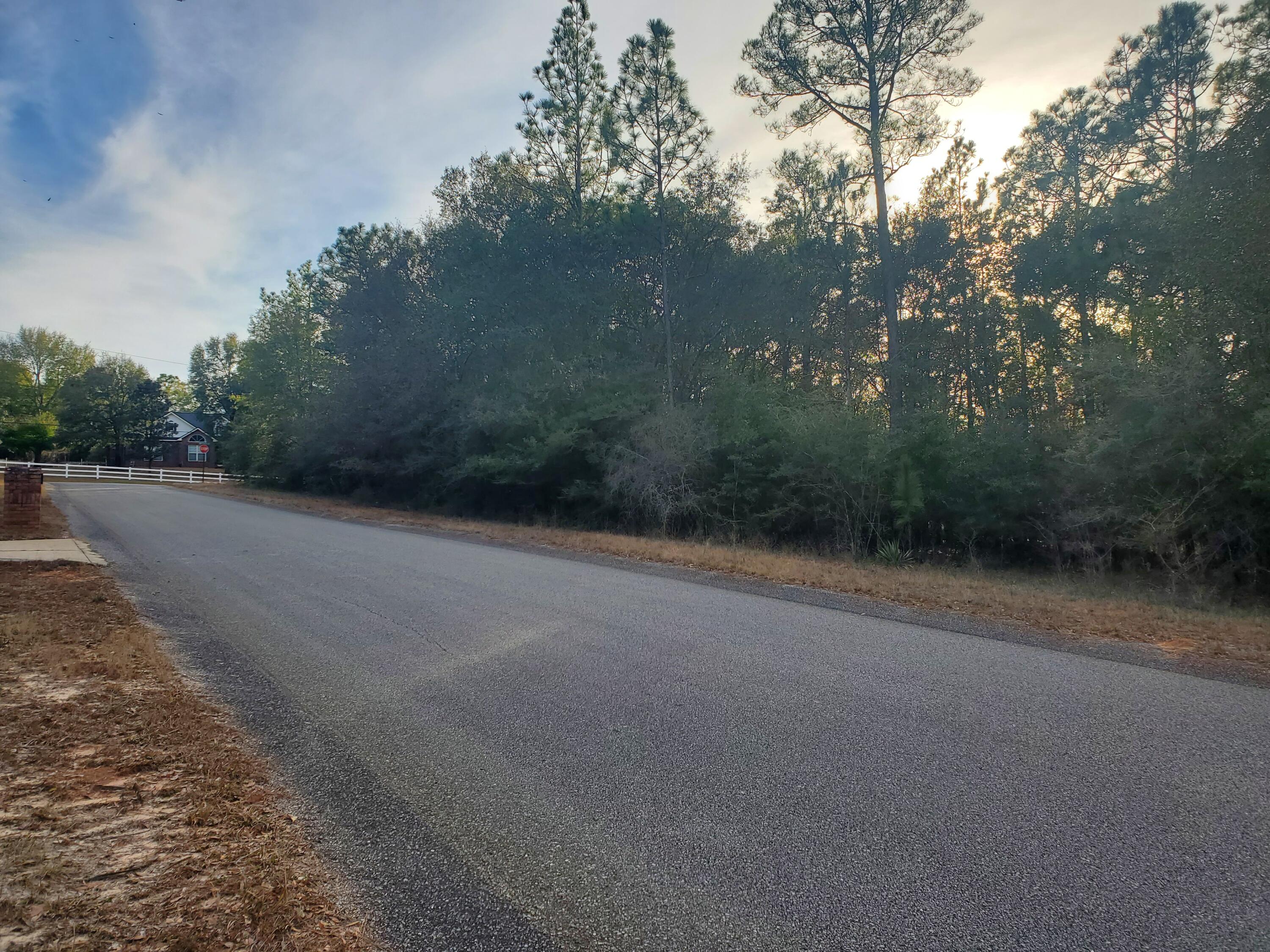 MATHISON CREEK ESTATES @ Kennedy Lake Phase 2 - Land