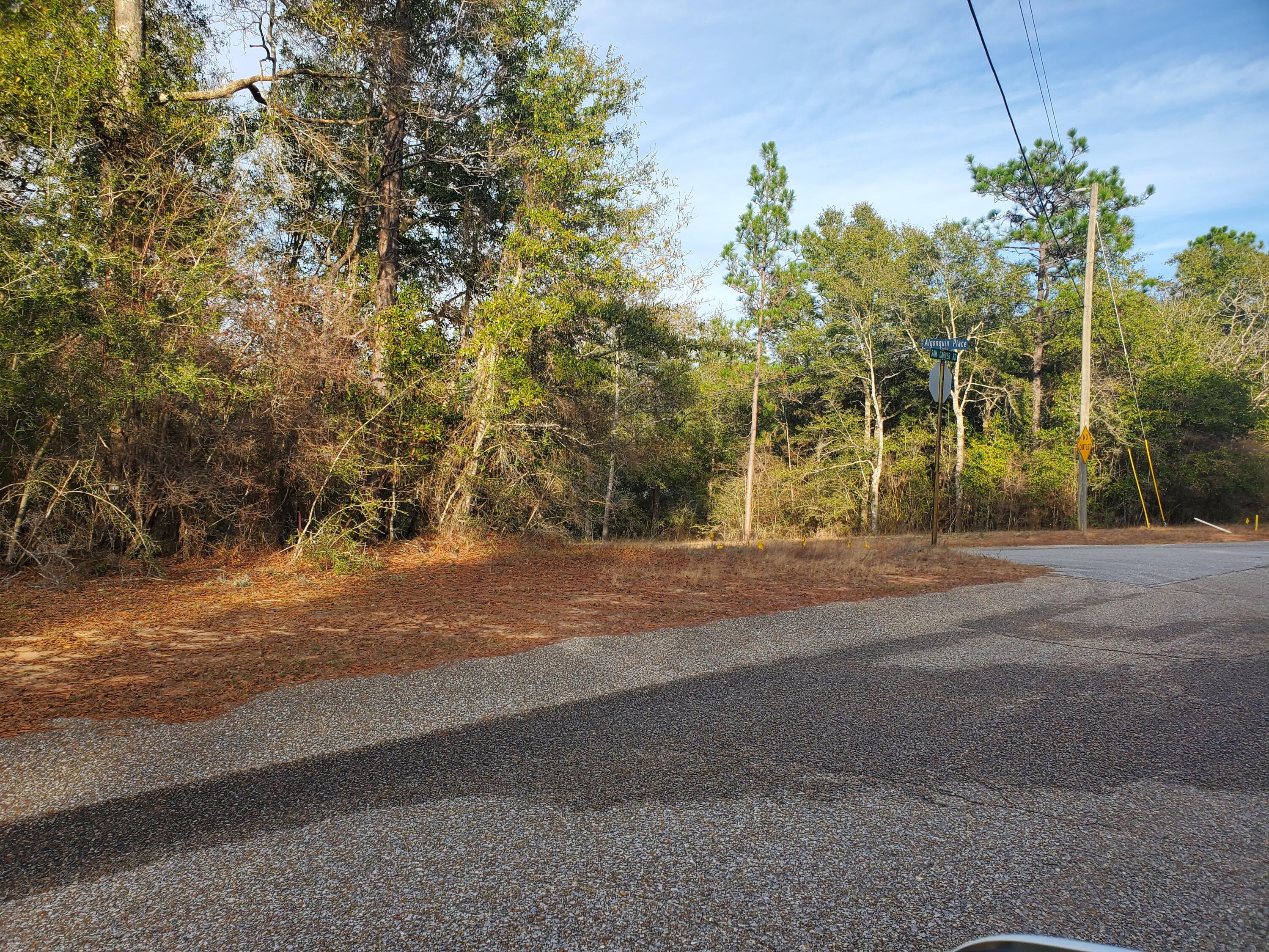 A RARE FIND!  You have been looking for that exceptional area to build your dream home.  Here it is!   This is a one-acre corner lot  just outside the city.  It is not far to local shopping or to Eglin AFB and Fort Walton.  This parcel is located on a paved road with utilities available!  There are lovely custom homes in this subdivision. Better yet this lot is competitively priced.  Check this one out before it is gone.Buyer should verify all pertinent information including but not limited to dimensions, utilities, schools, restrictions and any other matter of importance.