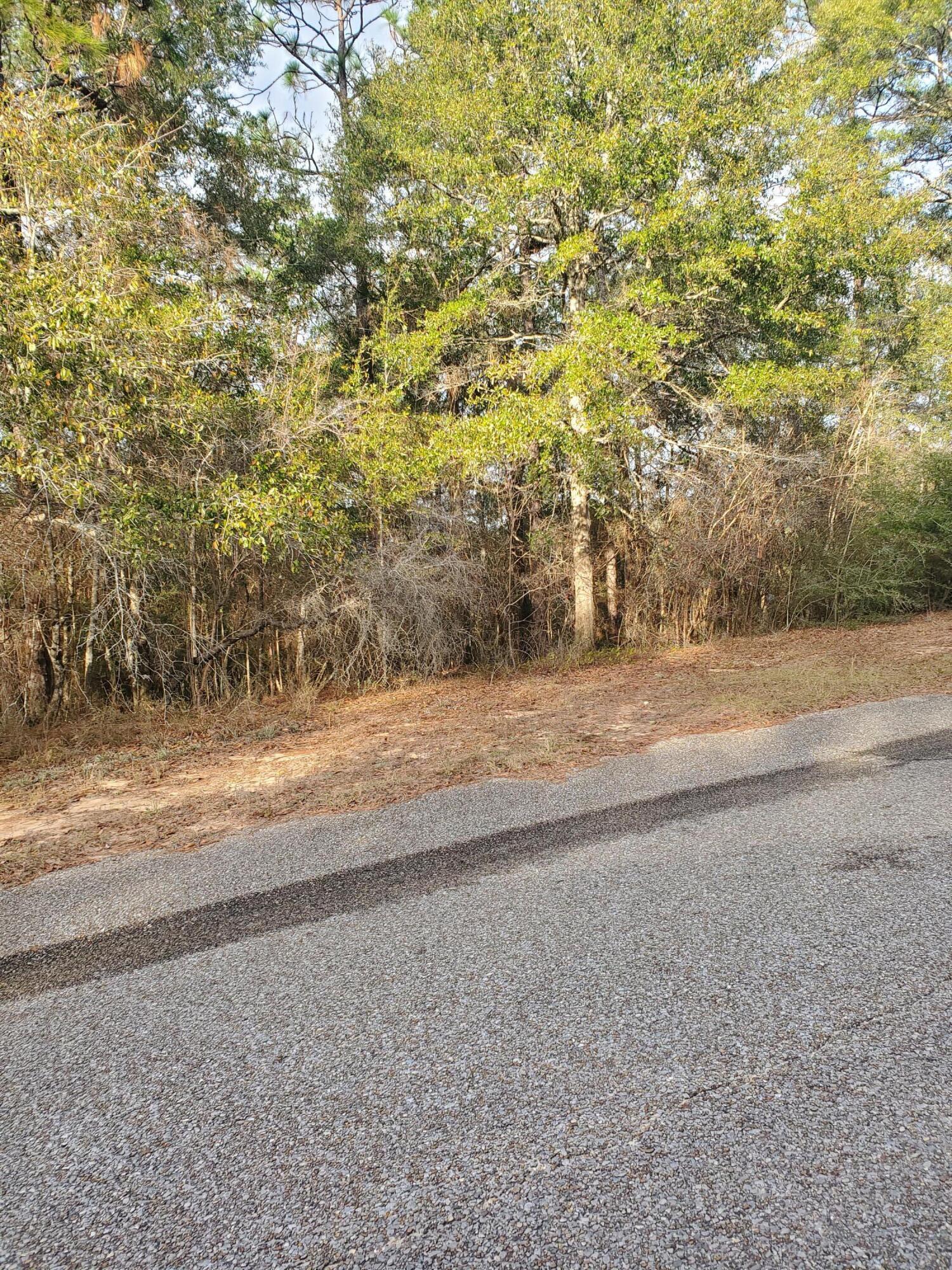 MATHISON CREEK ESTATES @ Kennedy Lake Phase 2 - Land